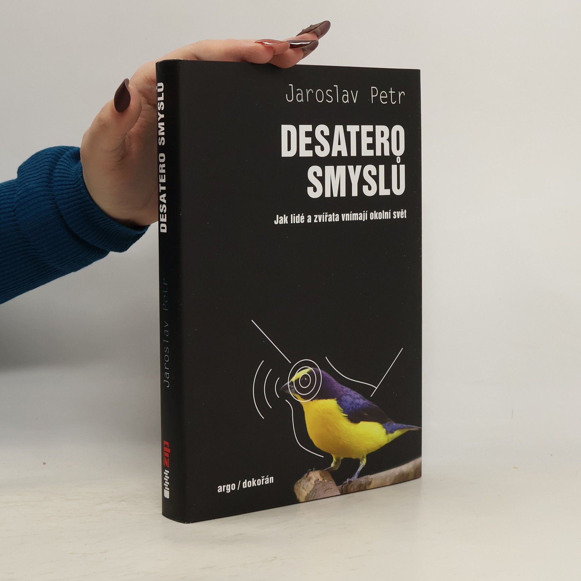 Jaroslav Petr Desatero smyslů