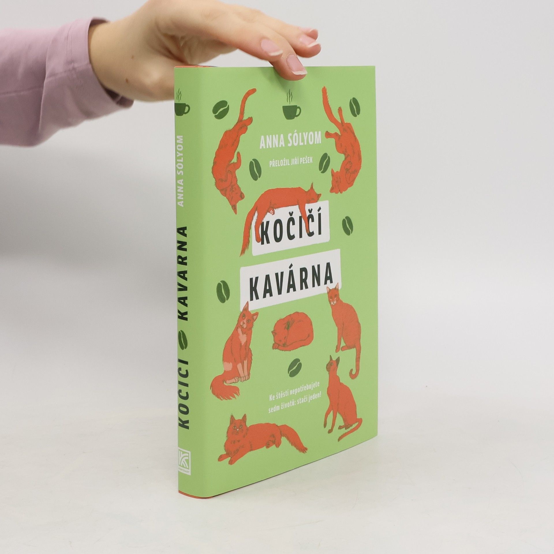 Anna Sólyom Kočičí kavárna