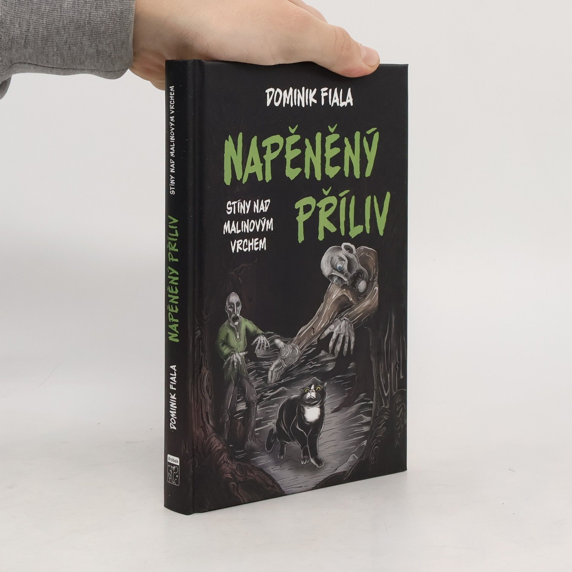 Dominik Fiala Napěněný příliv