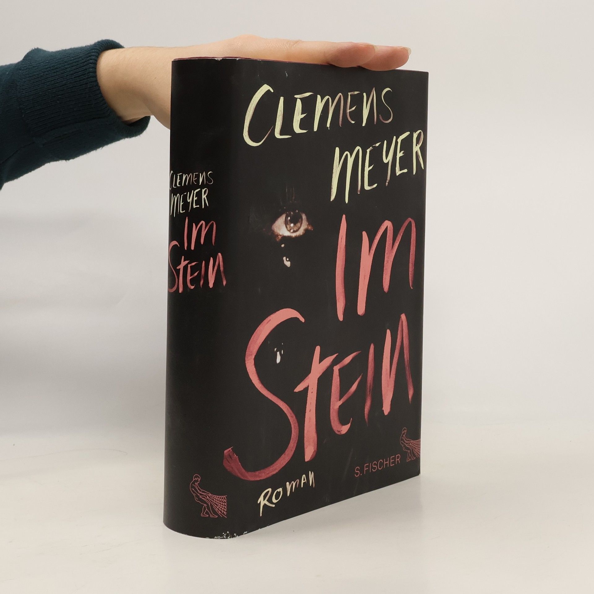 Clemens Meyer Im Stein