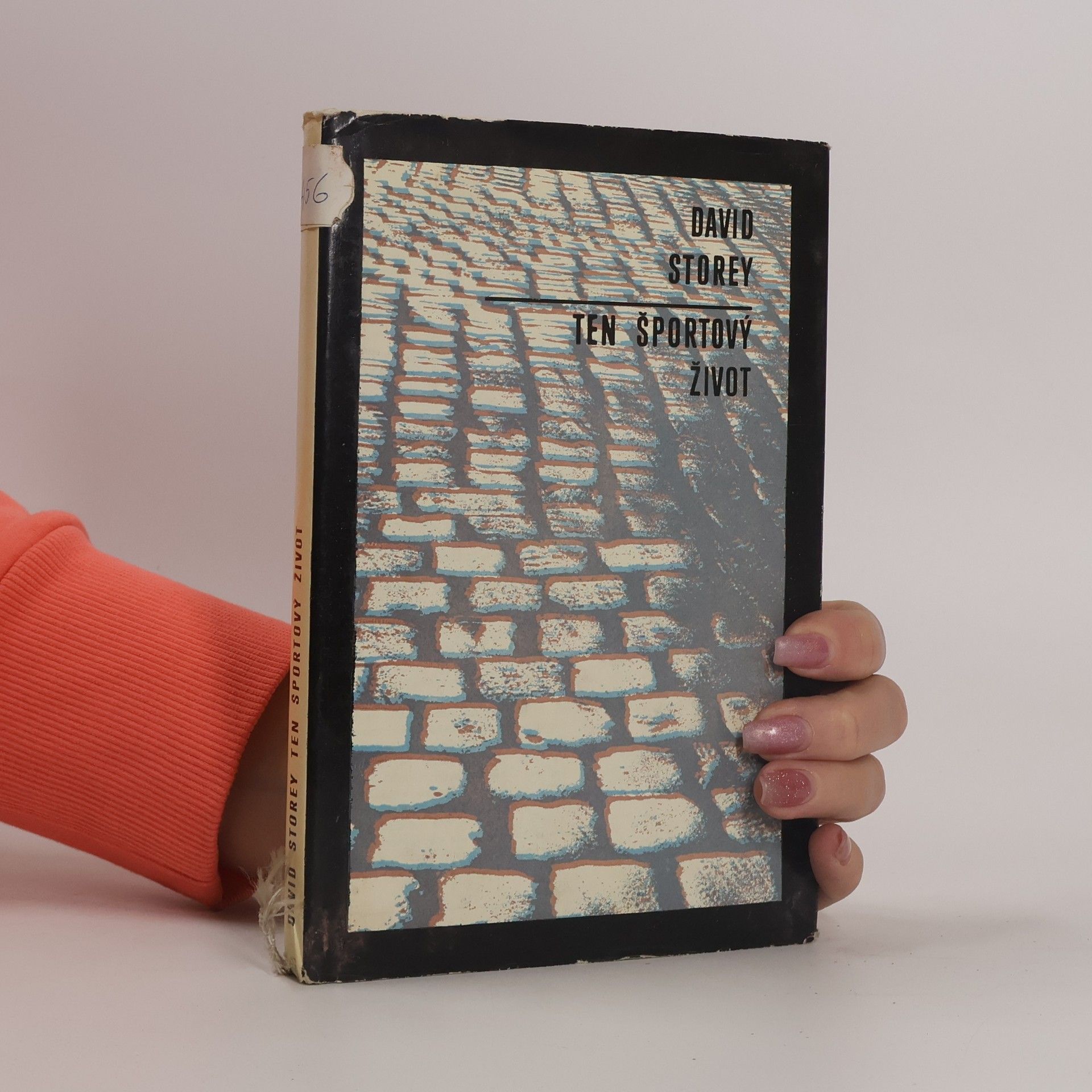 David Storey Ten športový život