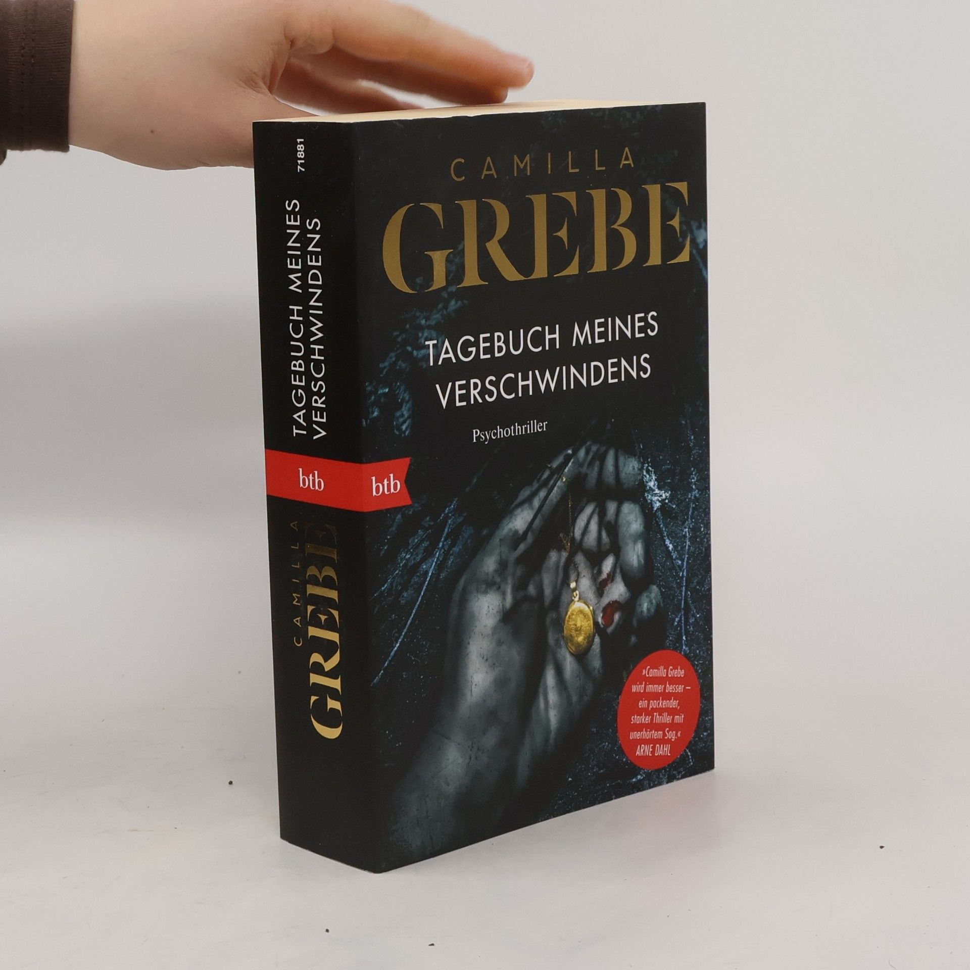 Tagebuch meines Verschwindens