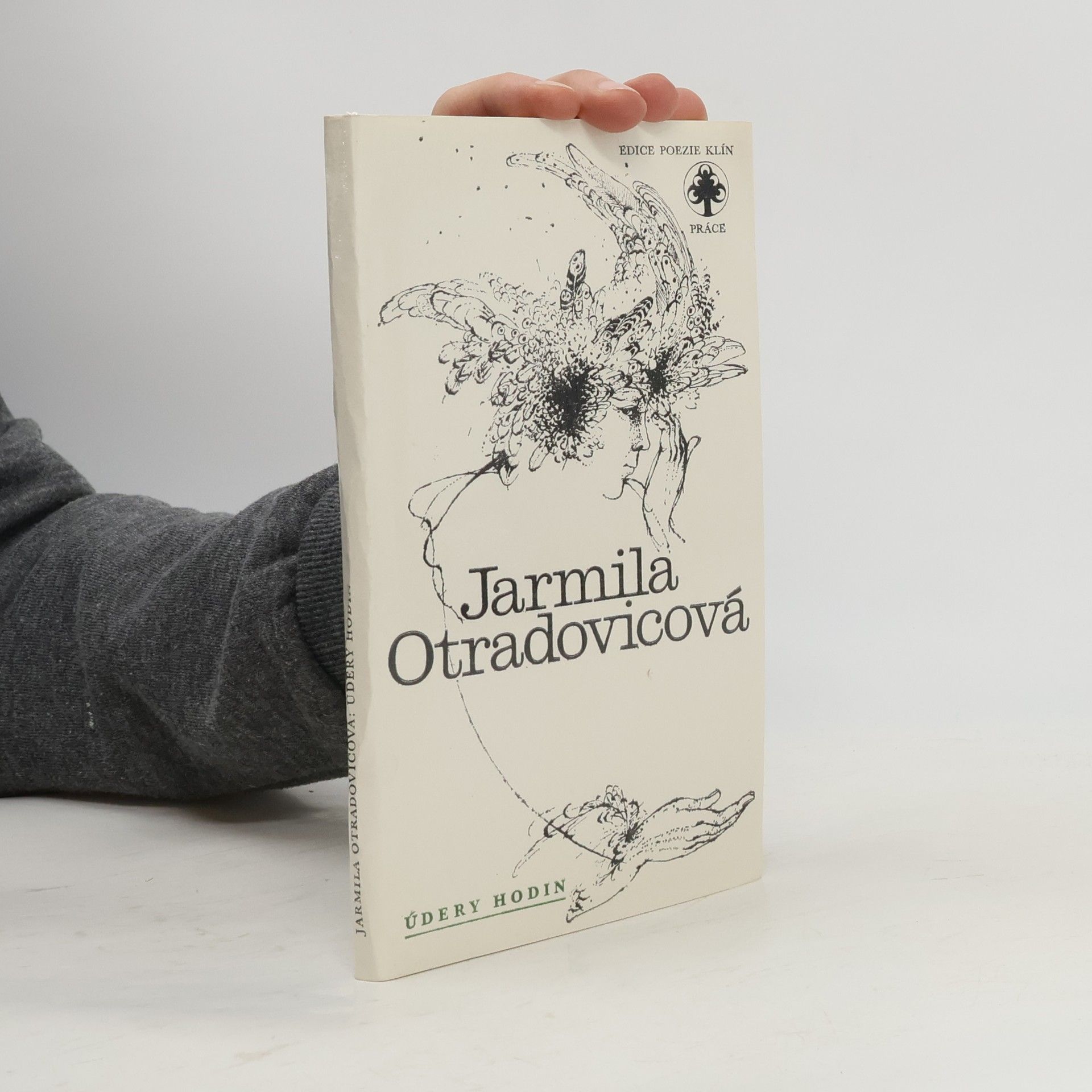 Jarmila Otradovicová Údery hodin