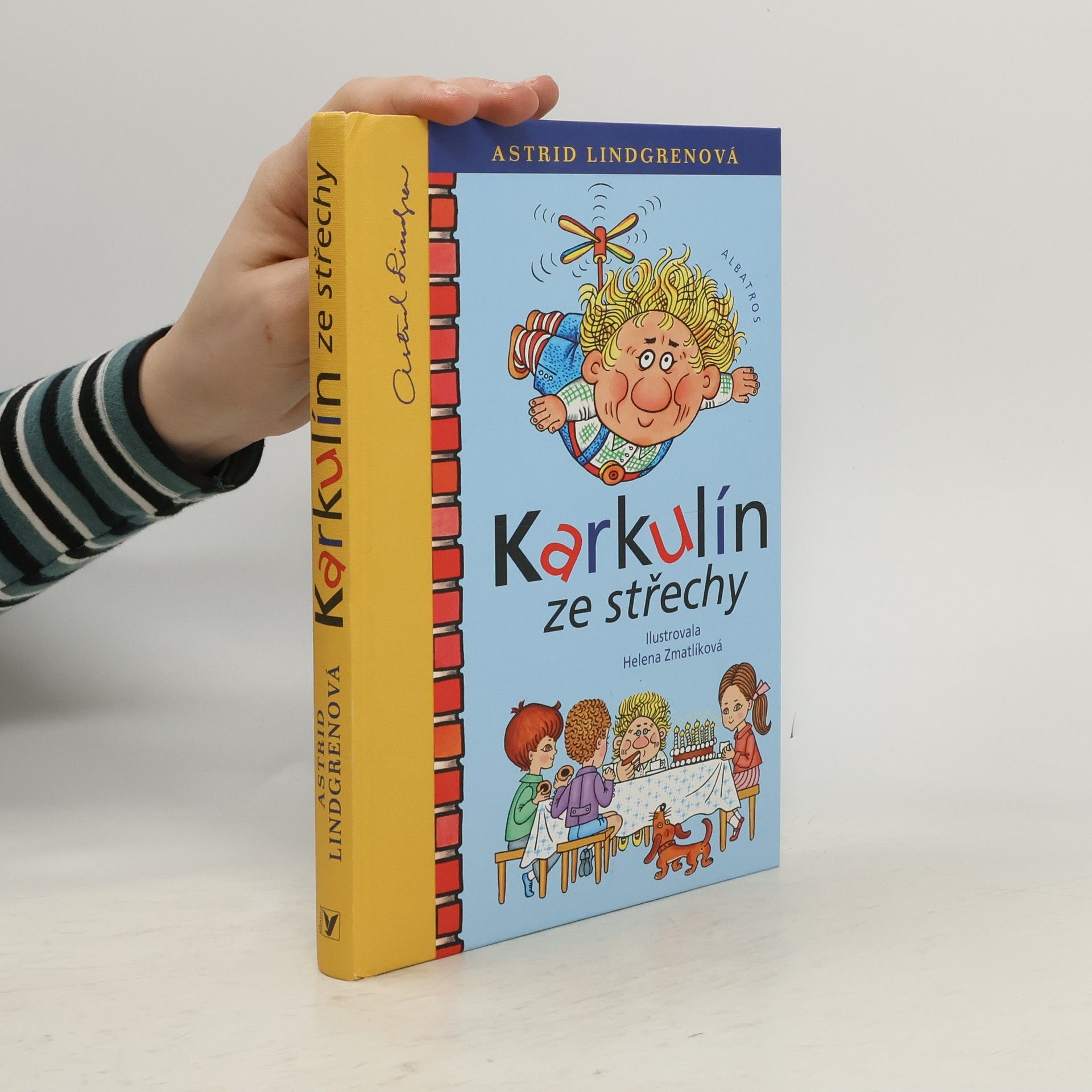 Helena Zmatlíková Karkulín ze střechy