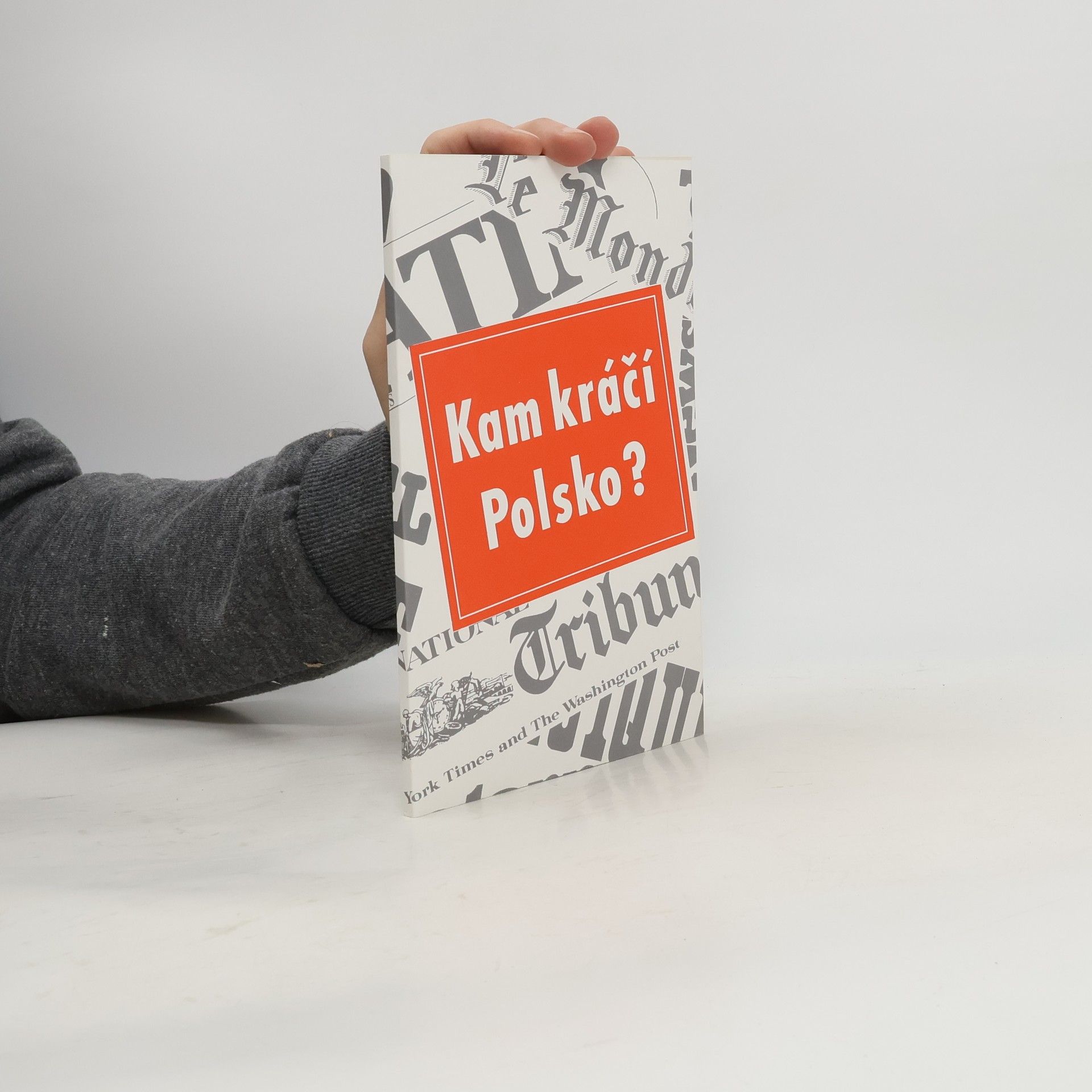 Autorenkollektiv Kam kráčí Polsko?