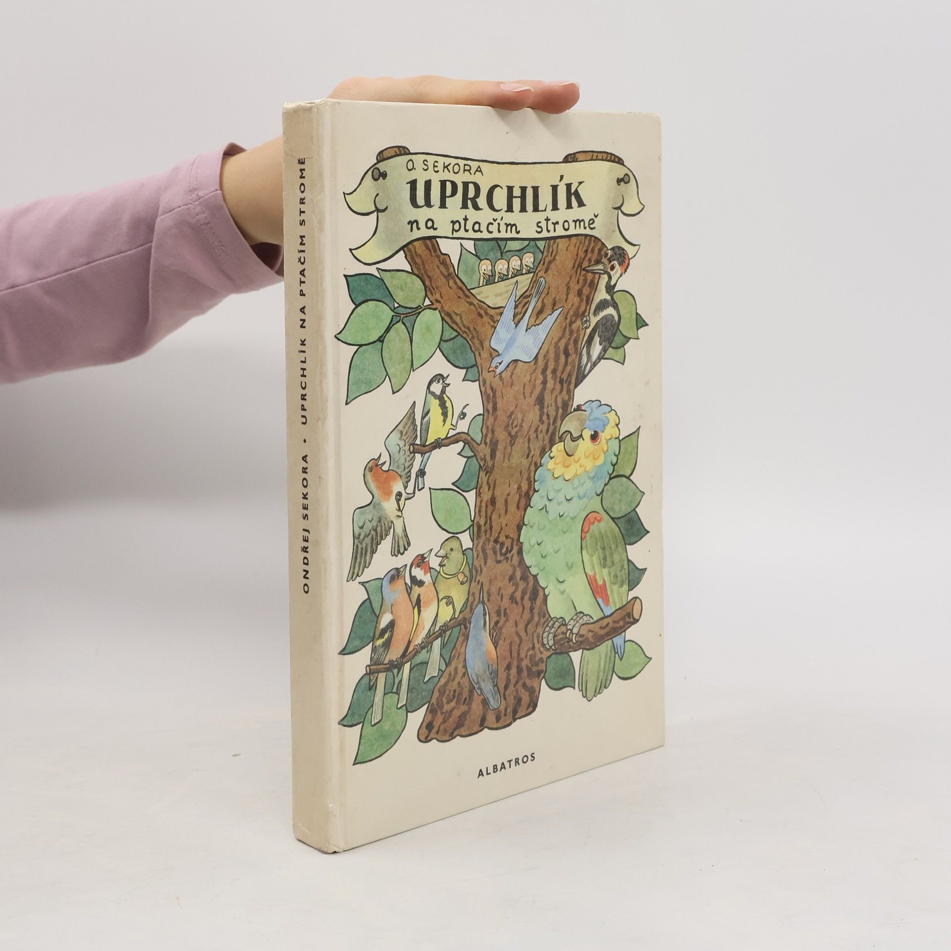 Ondřej Sekora Uprchlík na ptačím stromě