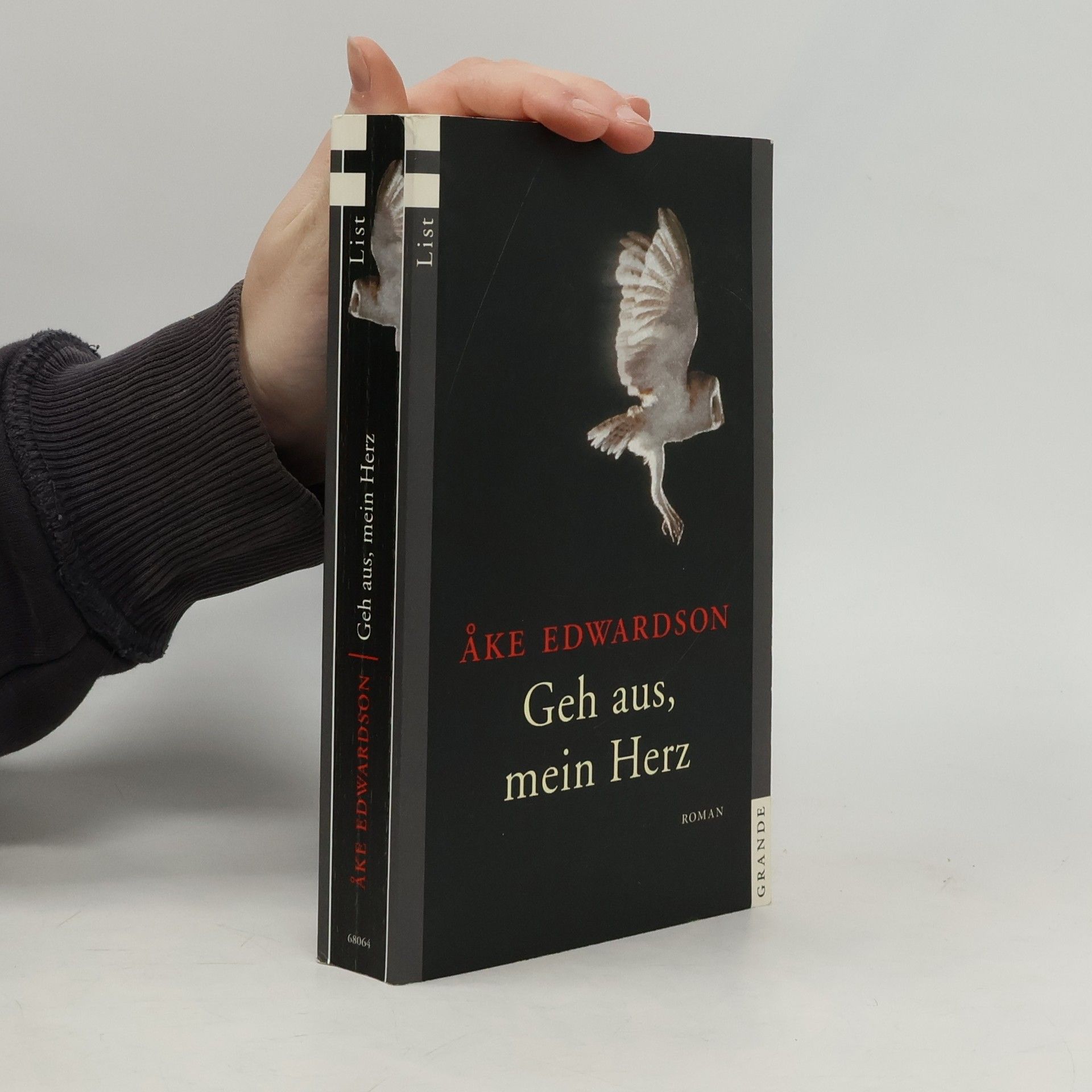 Åke Edwardson Geh aus, mein Herz