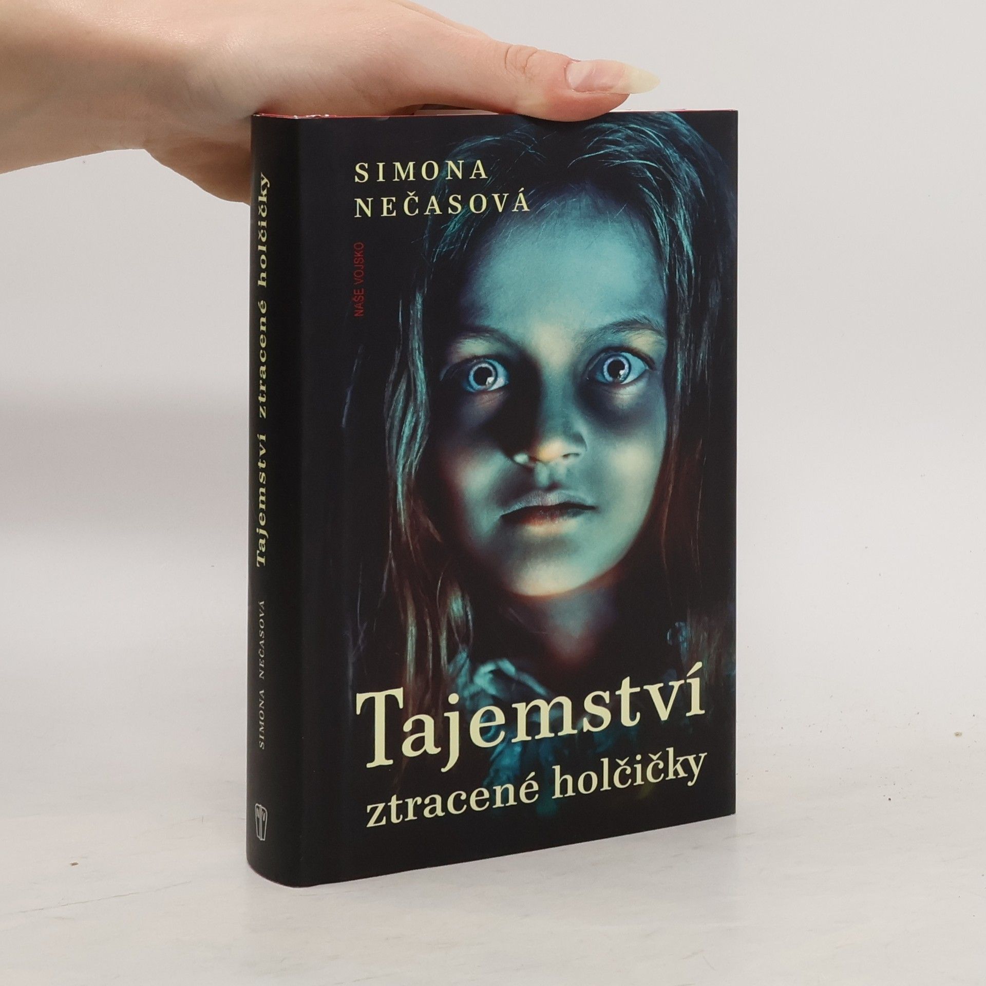 Tajemství ztracené holčičky