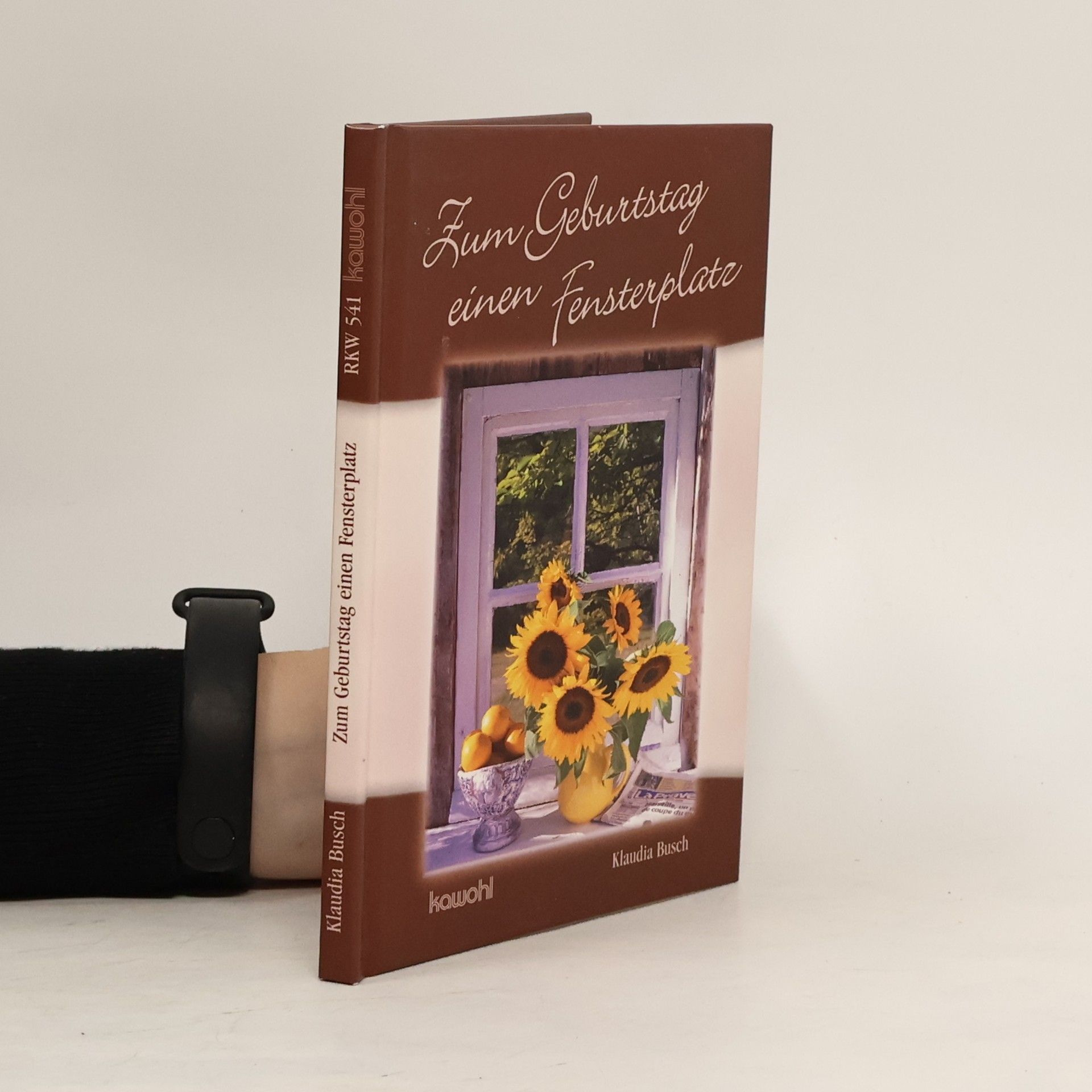Klaudia Busch Zum Geburtstag einen Fensterplatz