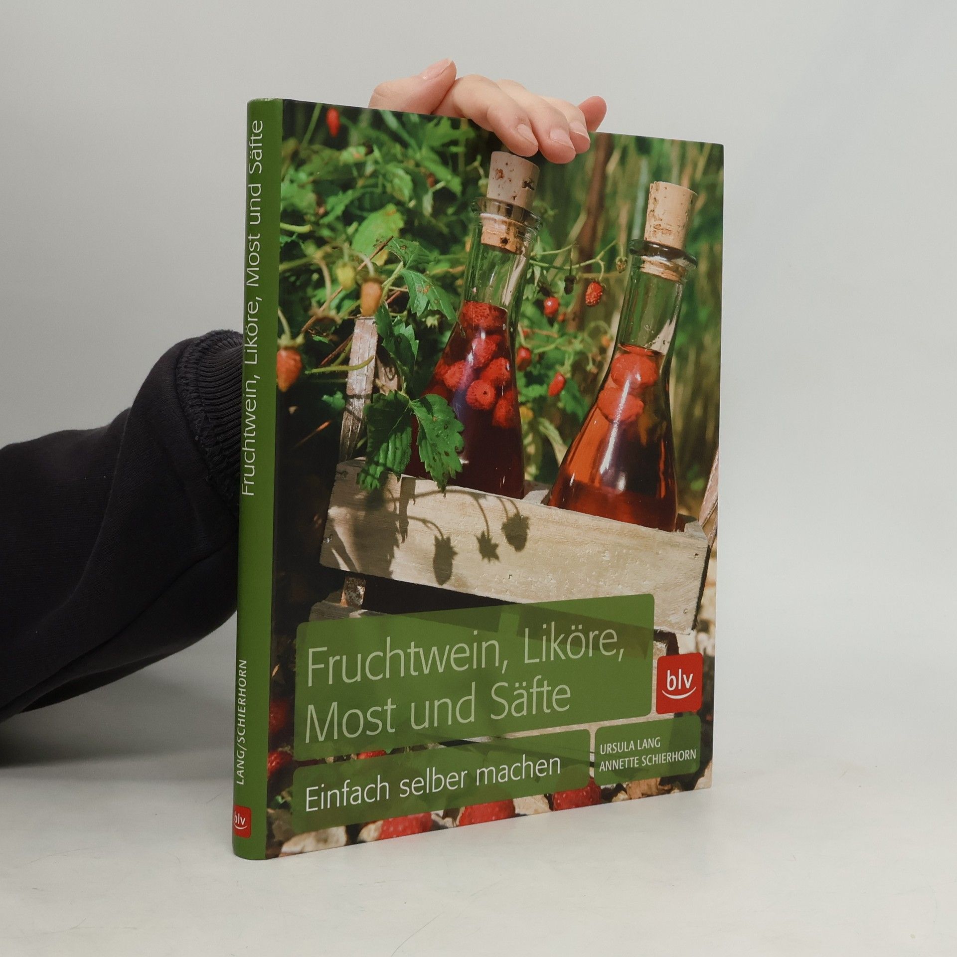 Fruchtwein, Liköre, Most und Säfte