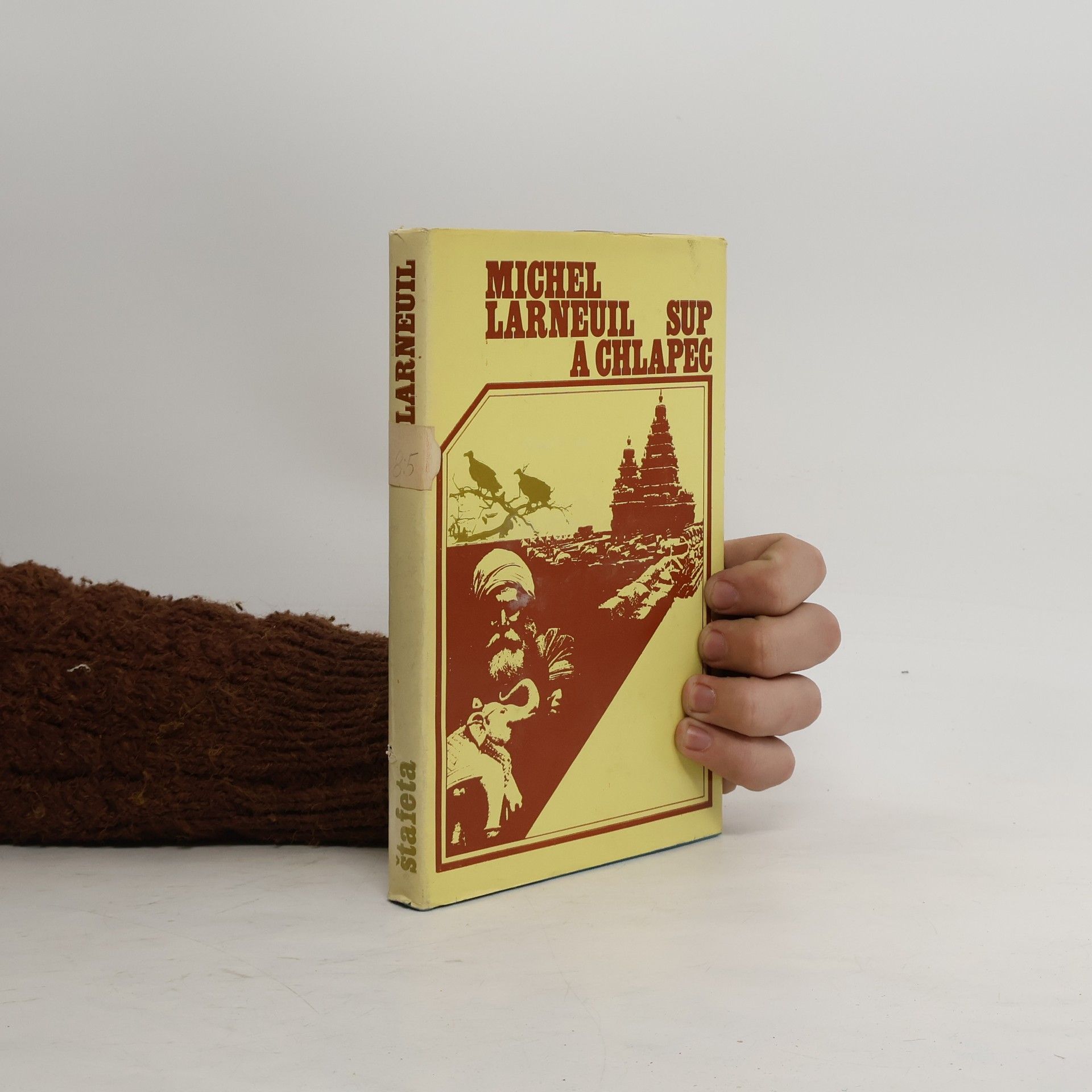 Michel Larneuil Sup a chlapec