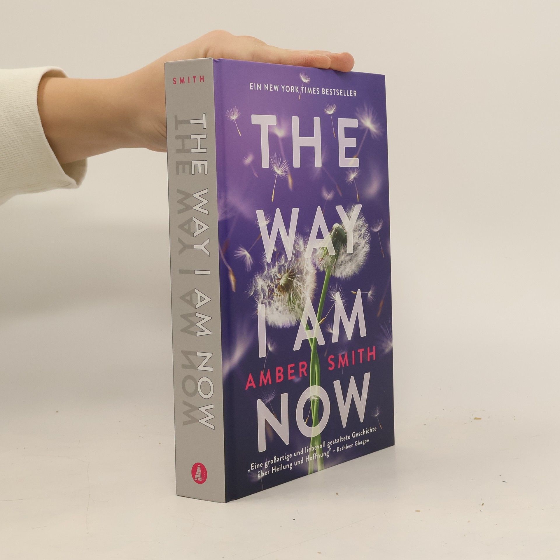 Amber Smith The Way I am Now