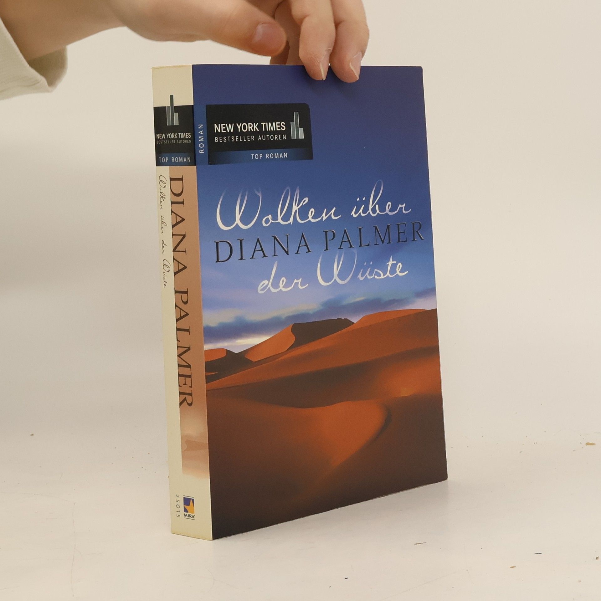 Diana Palmer Wolken über der Wüste