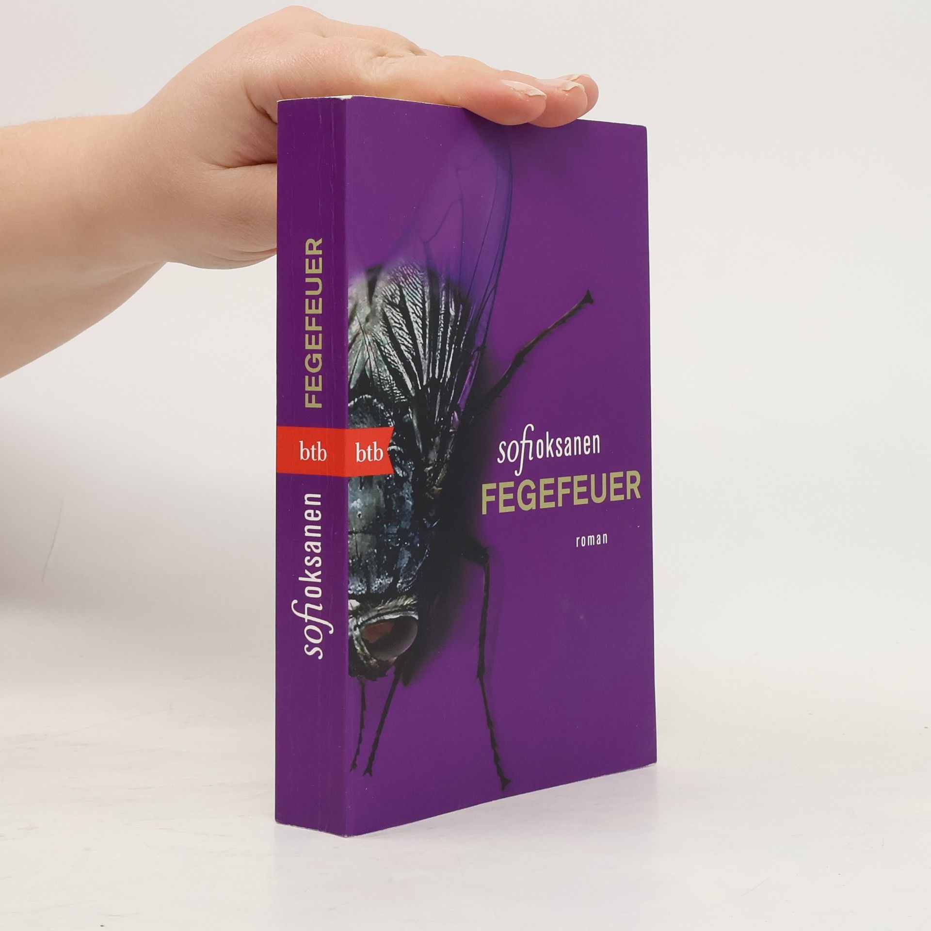 Sofi Oksanenová Fegefeuer