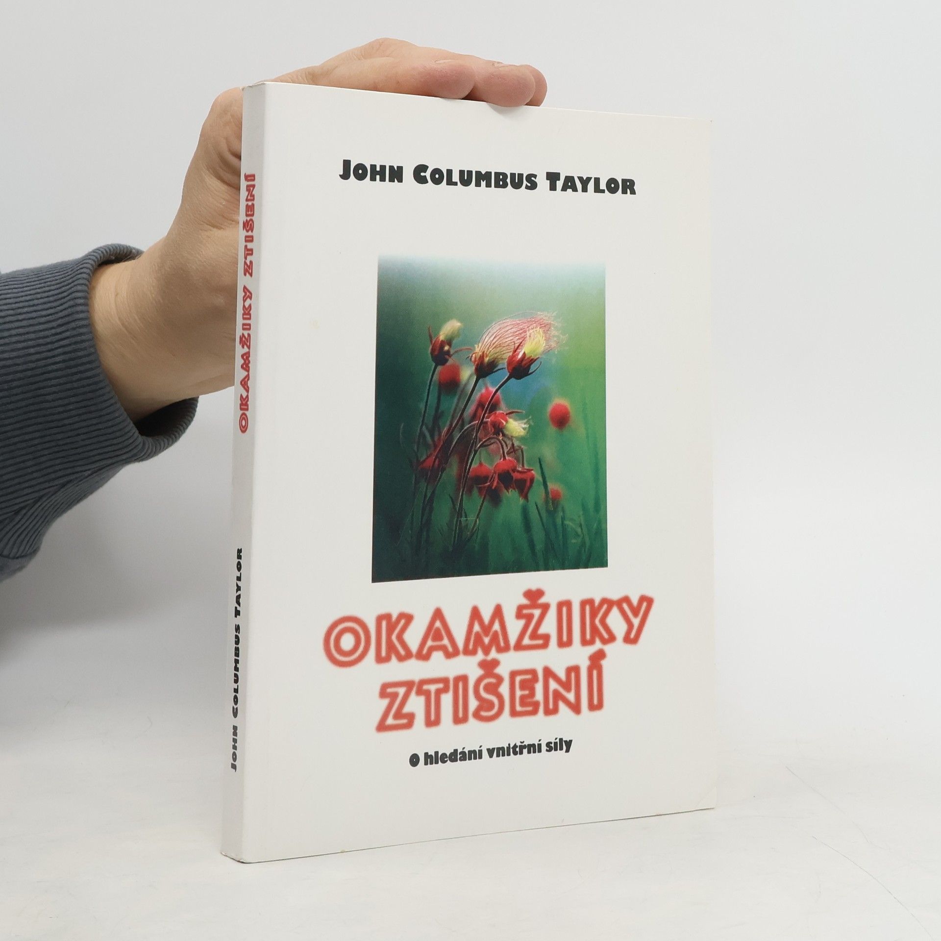 Okamžiky ztišení: o hledání vnitřní síly