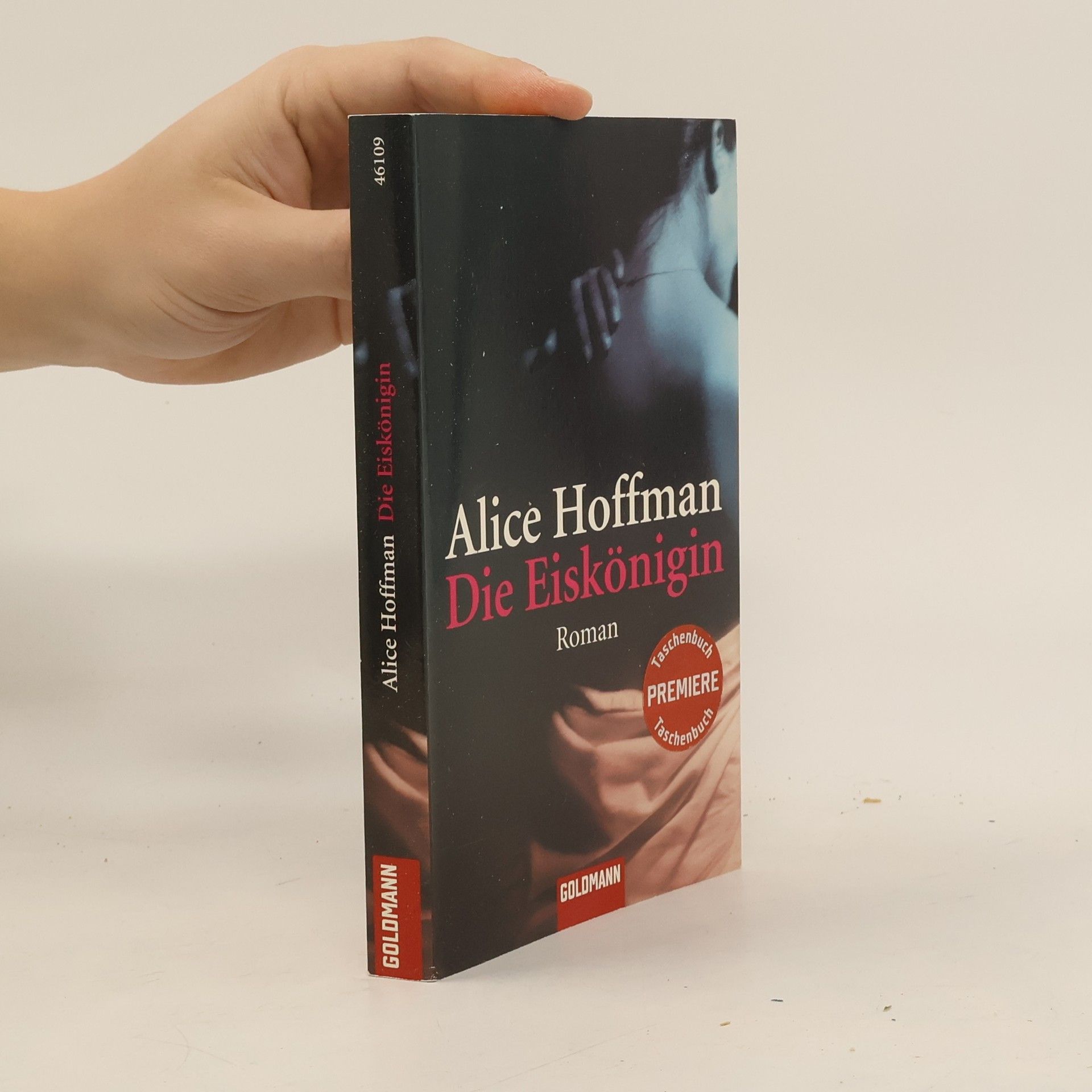 Alice Hoffman Die Eiskönigin