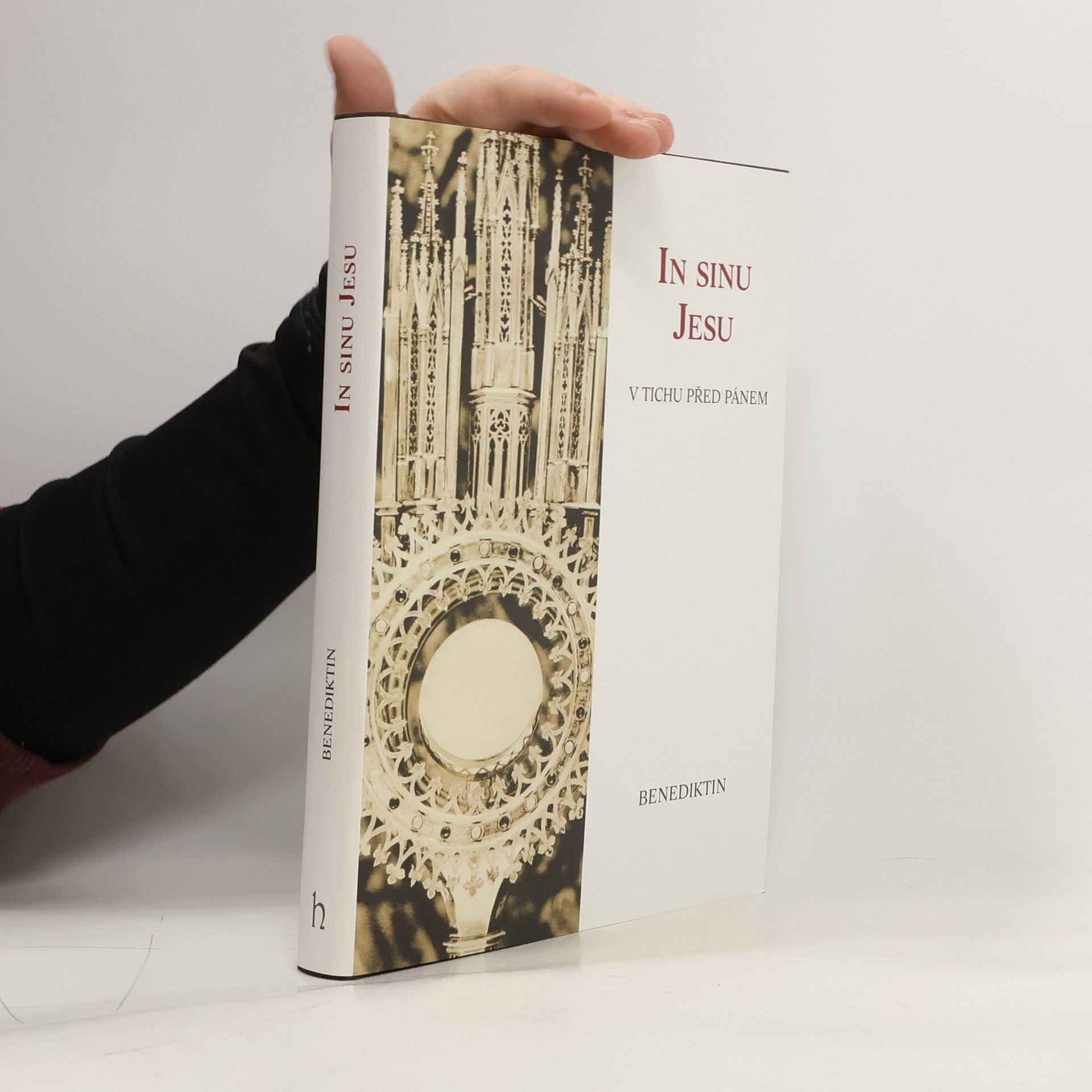 In sinu Jesu : v tichu před Pánem