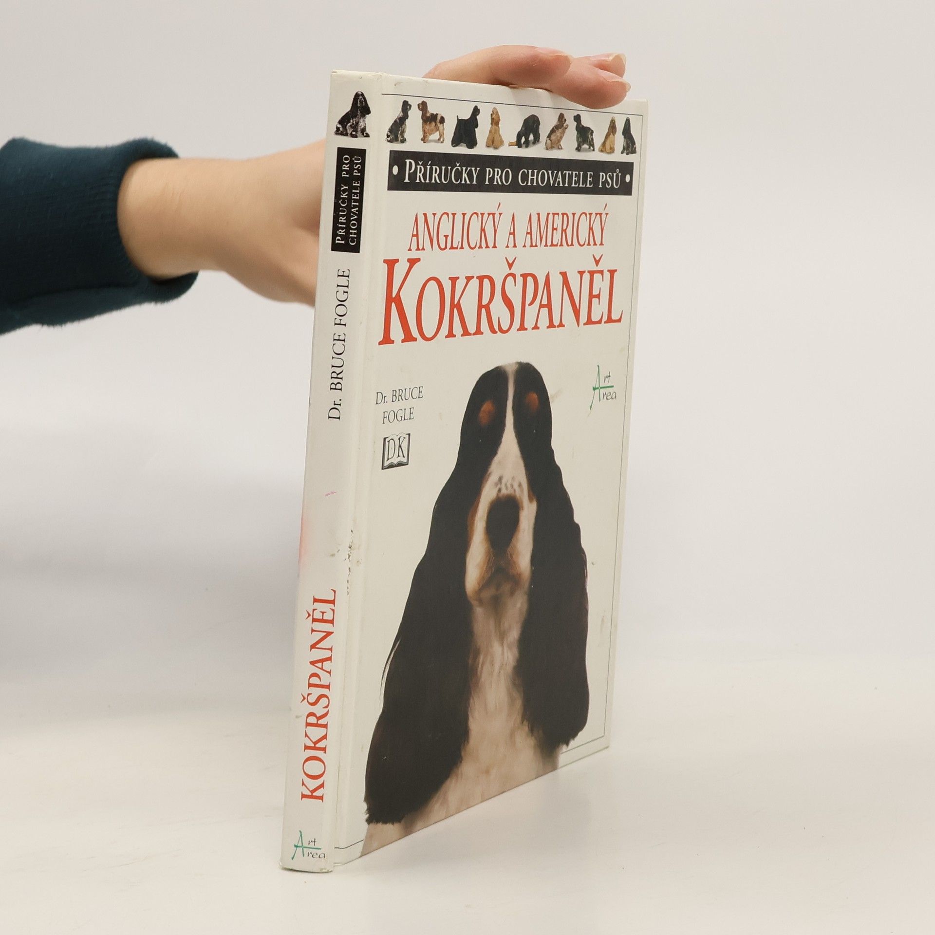 Bruce Folge Anglický a americký kokršpaněl