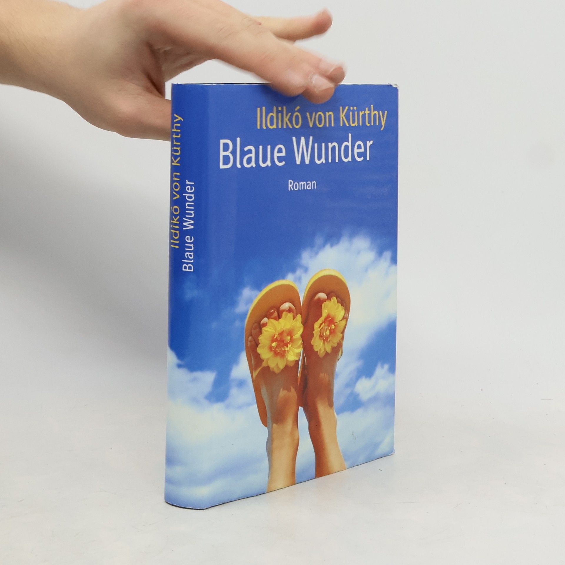 Ildikó von Kürthy Blaue Wunder