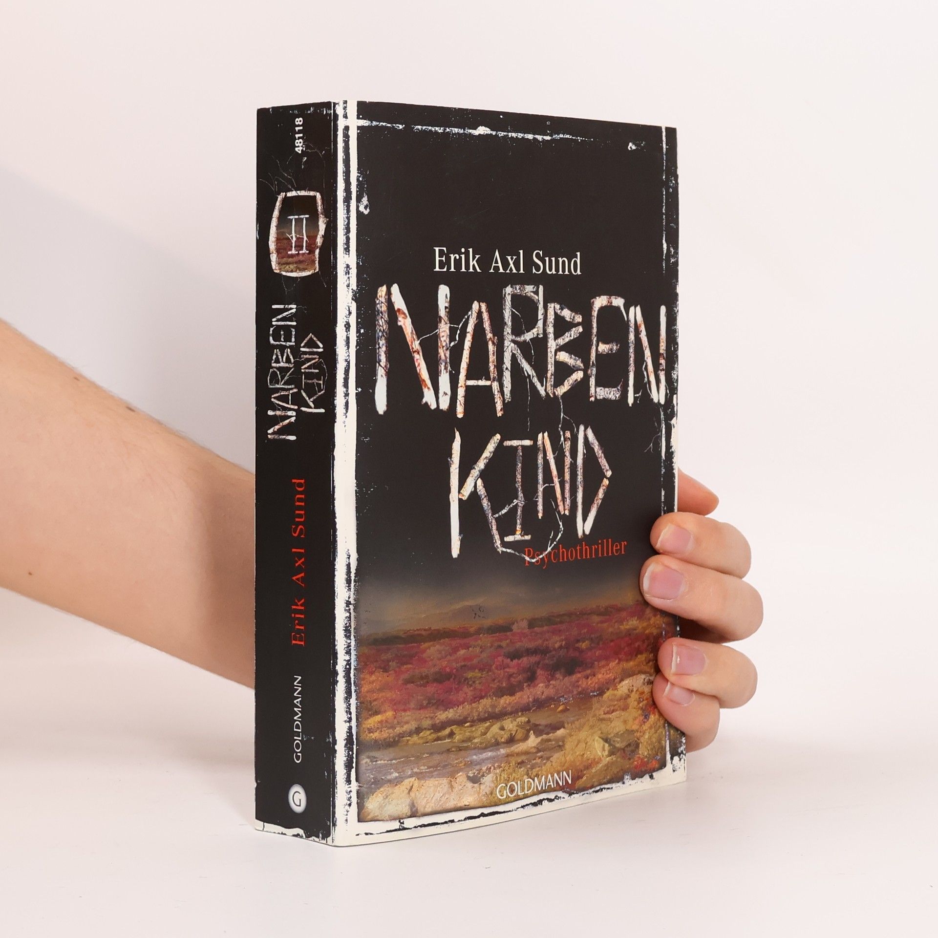 Erik Axl Sund Narbenkind