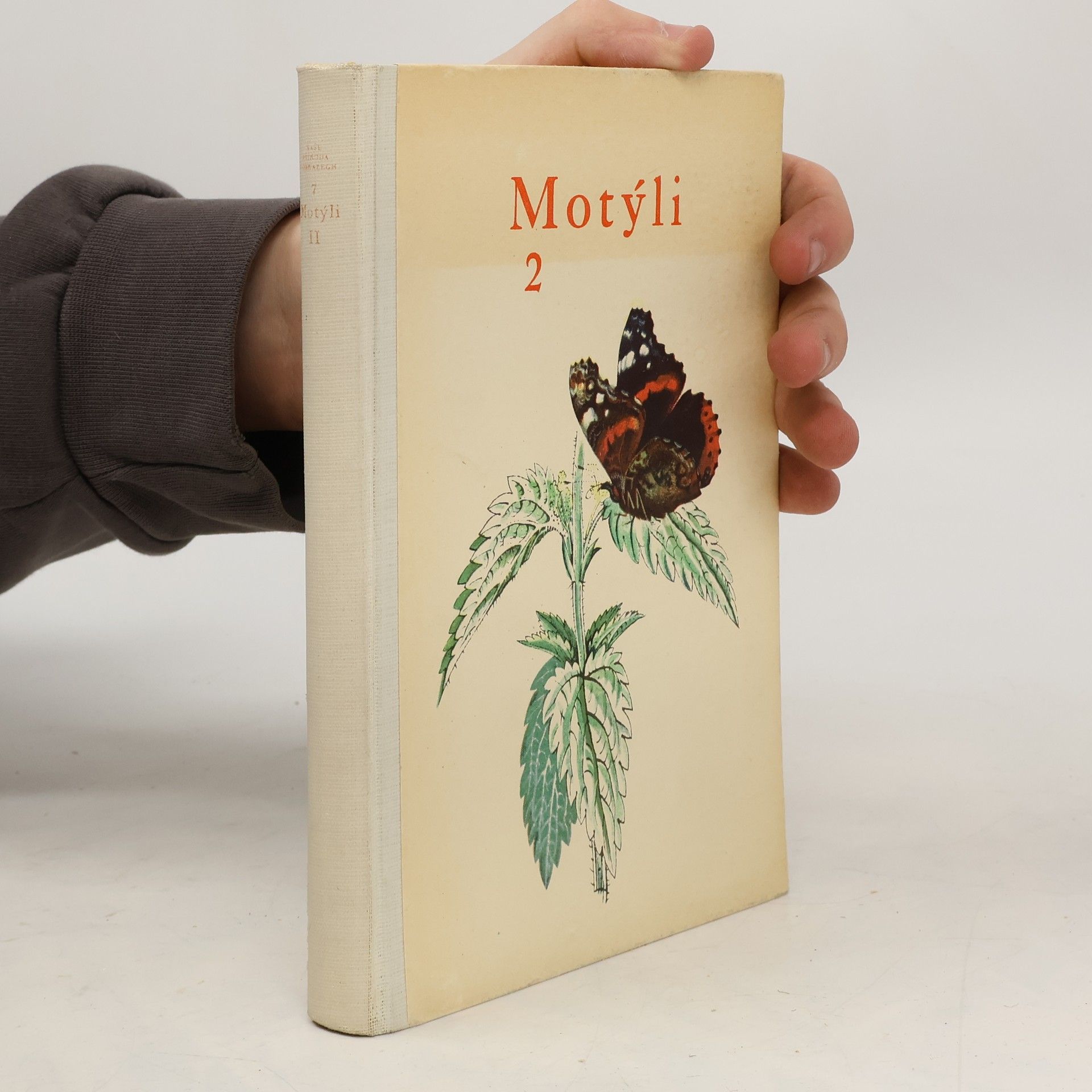 Rudolf Schwarz Motýli 2