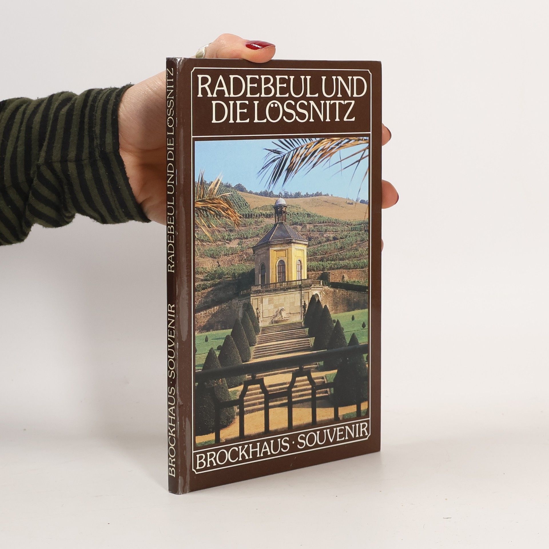 Sigrid Schmidt-Hasenbusch Radebeul und die Lössnitz