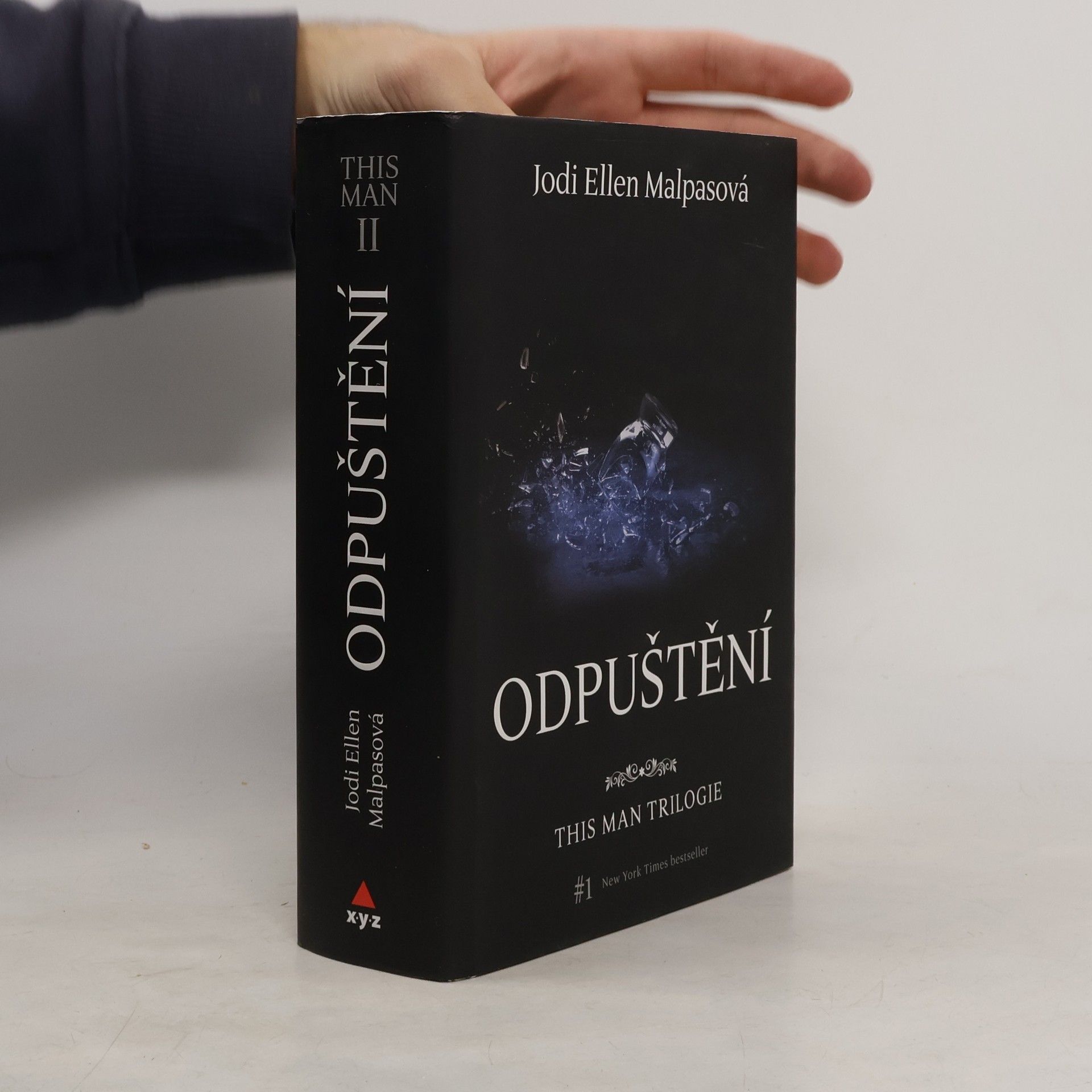 Jodi Ellen Malpas This man trilogie : Odpuštění