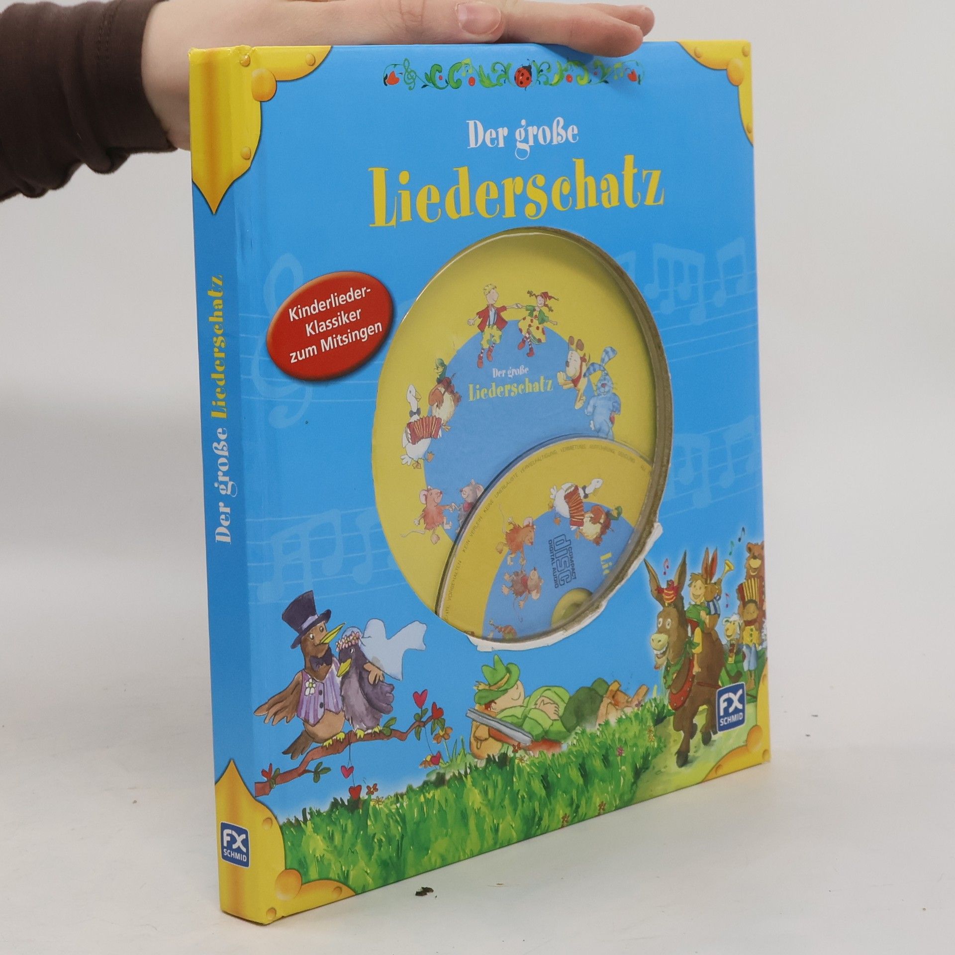 Autorenkollektiv Der große Liederschatz