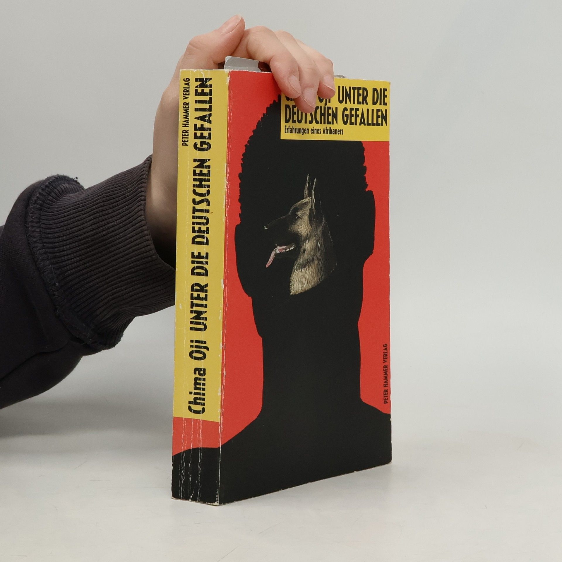 Chima Oji Unter die Deutschen gefallen