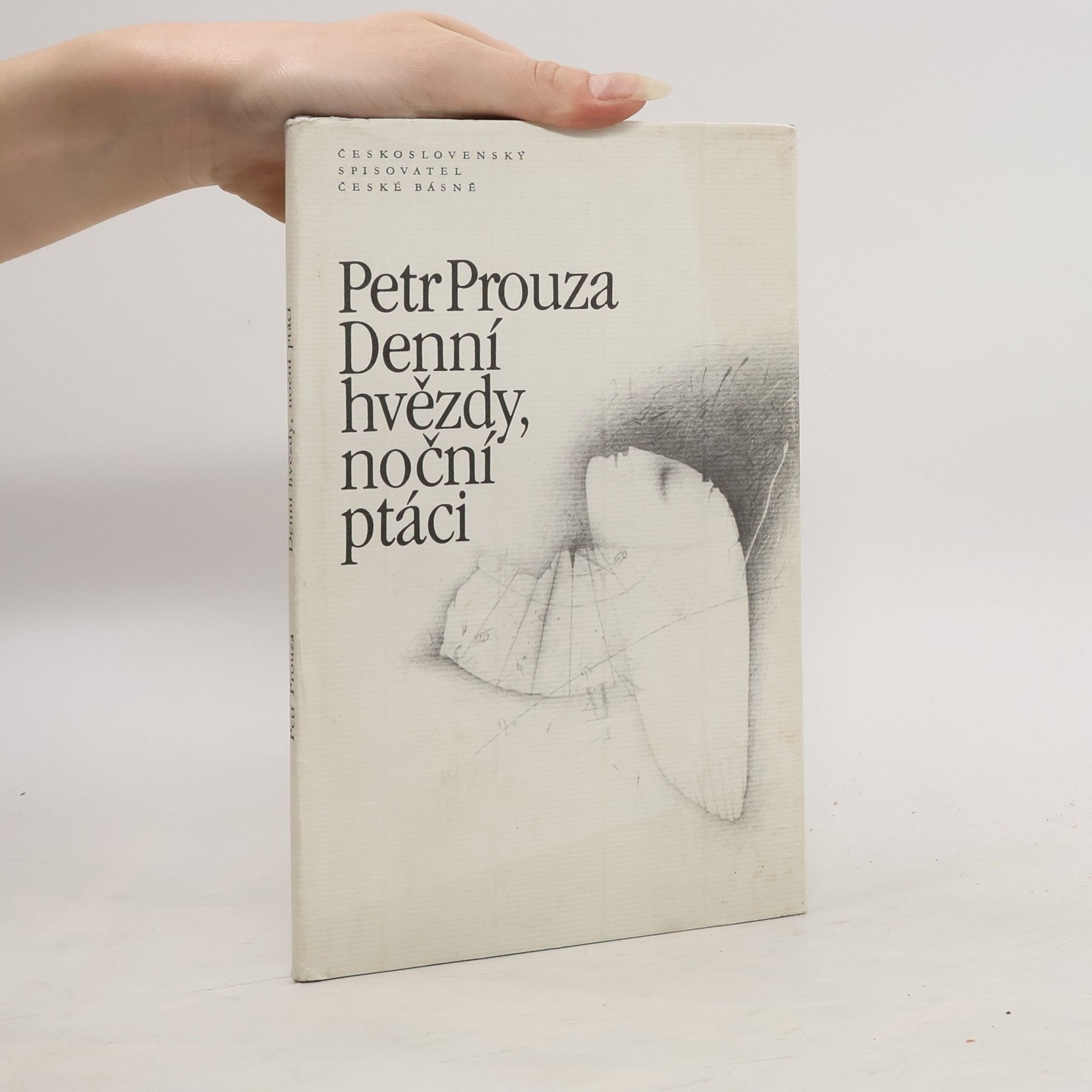 Denní hvězdy, noční ptáci