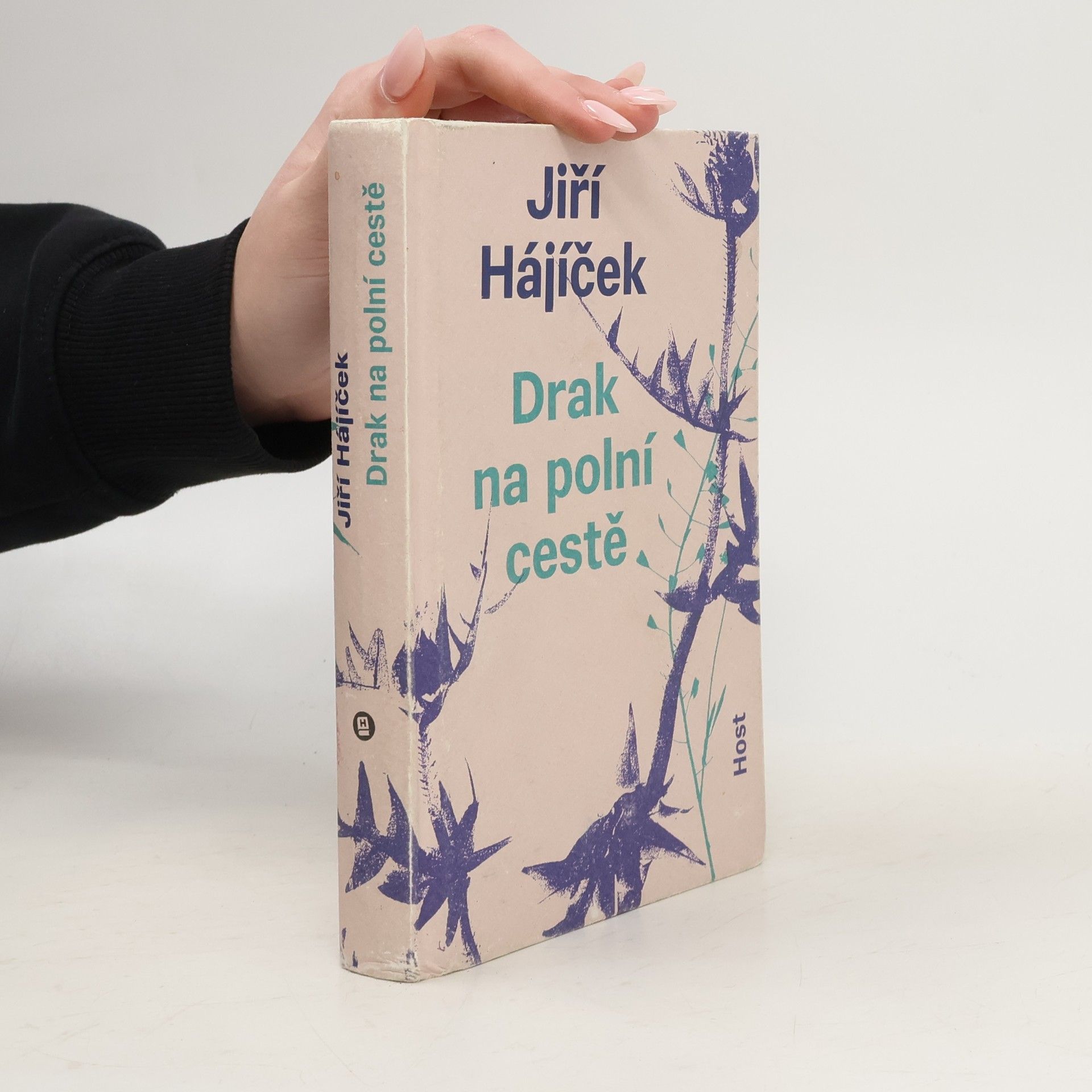 Jiří Hájíček Drak na polní cestě