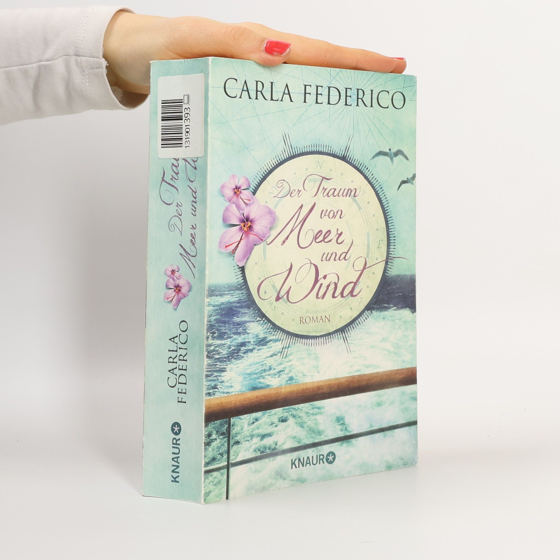 Der Traum von Meer und Wind