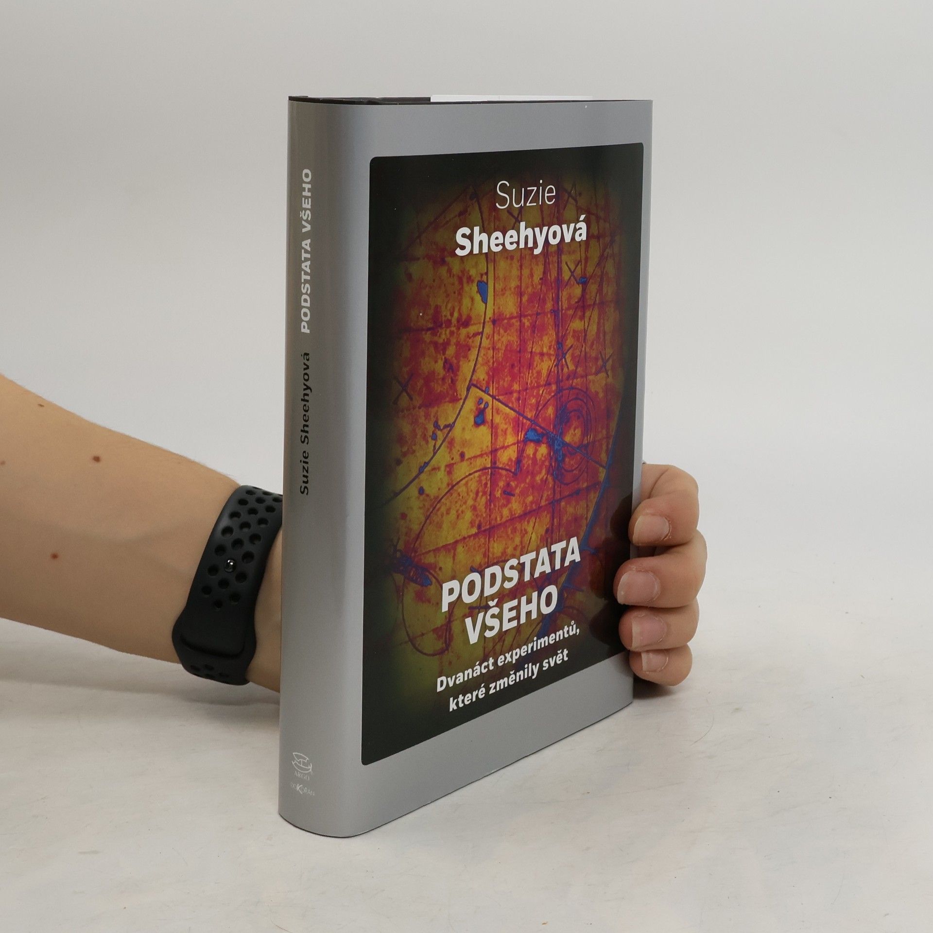 Suzie Sheehy Podstata všeho