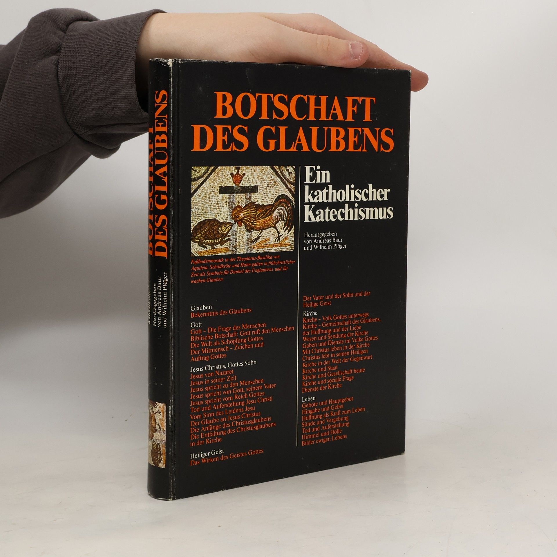 Botschaft des Glaubens. Ein Katholischer Katechismus