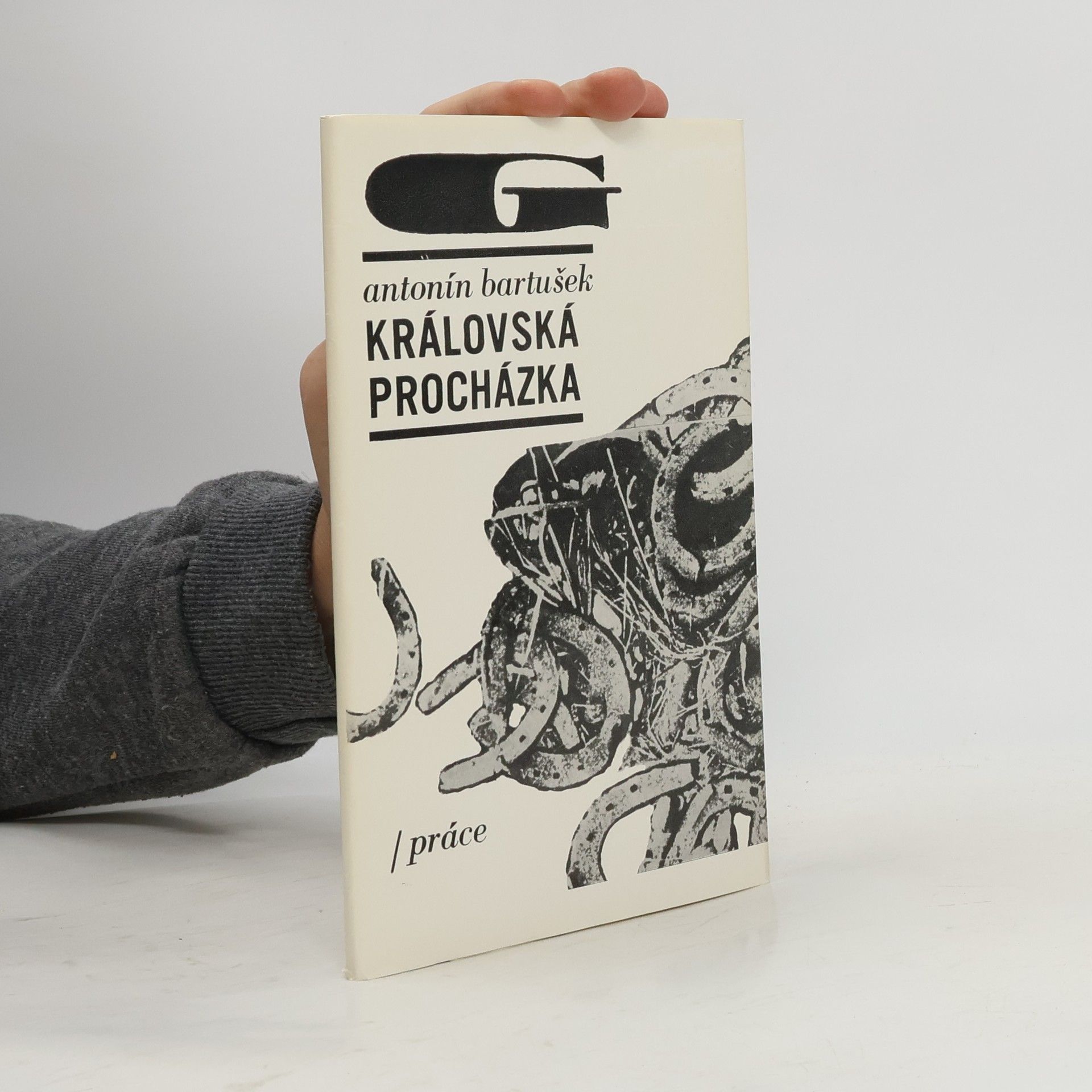 Královská procházka