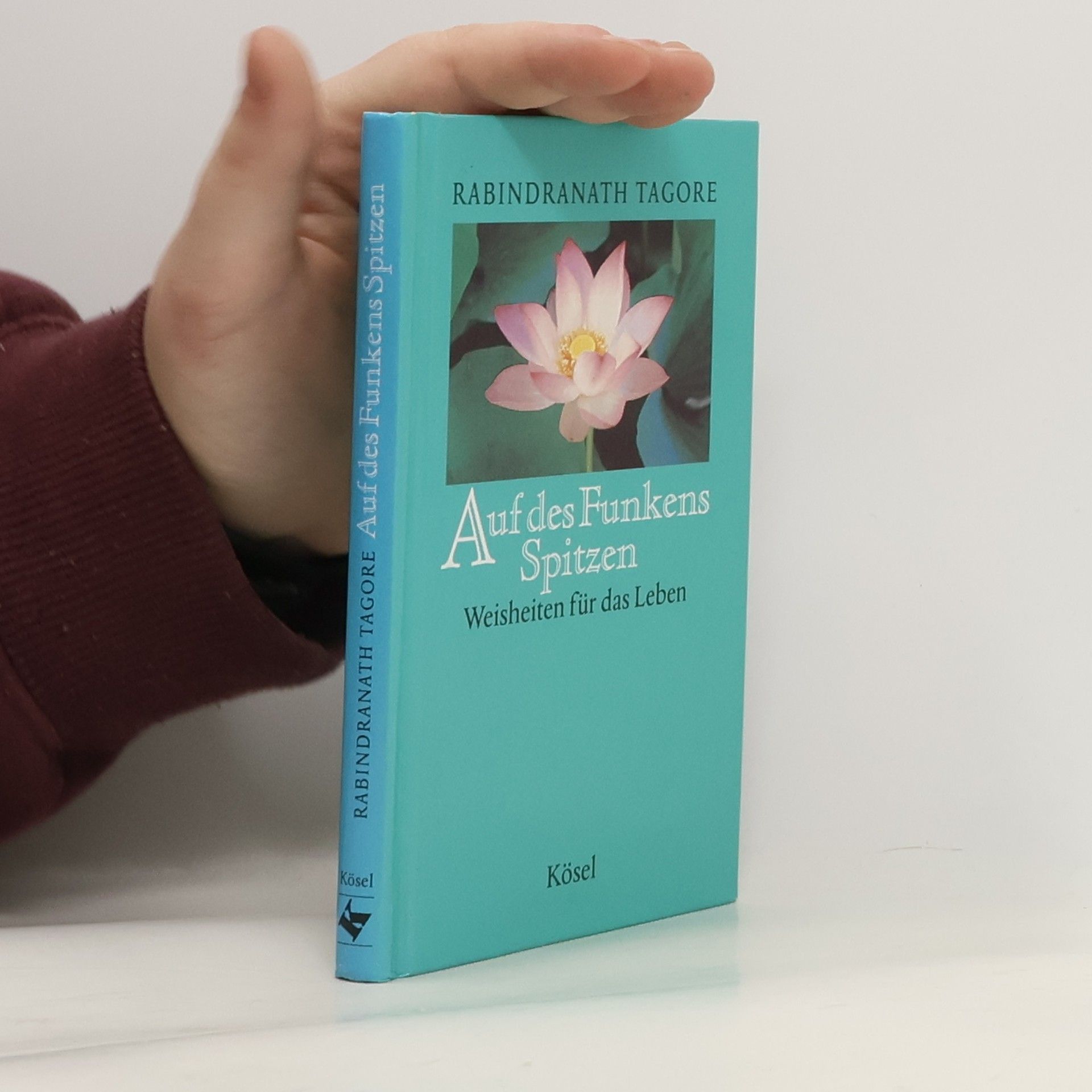 Rabíndranáth Thákur Auf des Funkens Spitzen