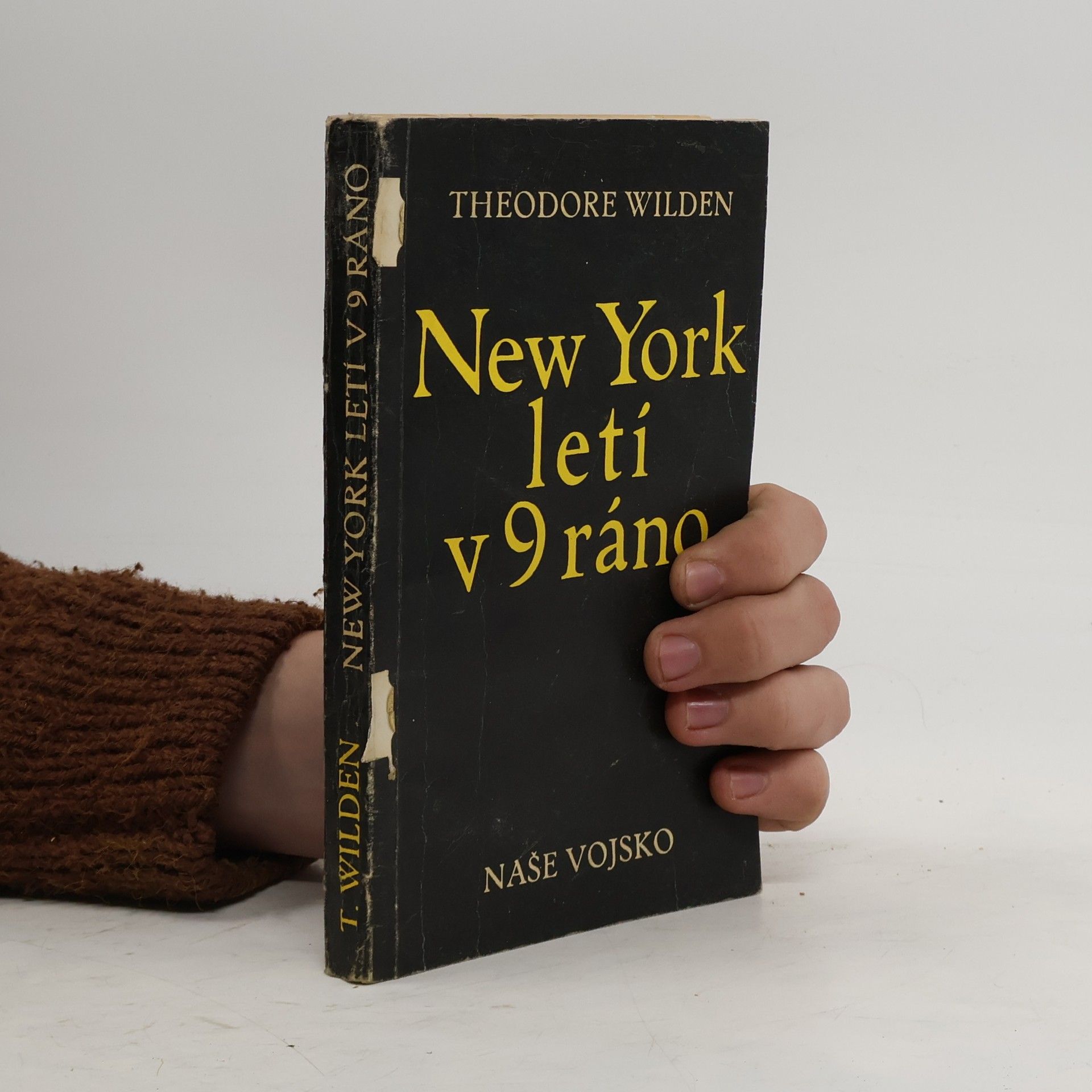 Theodore Wilden New York letí v 9 ráno