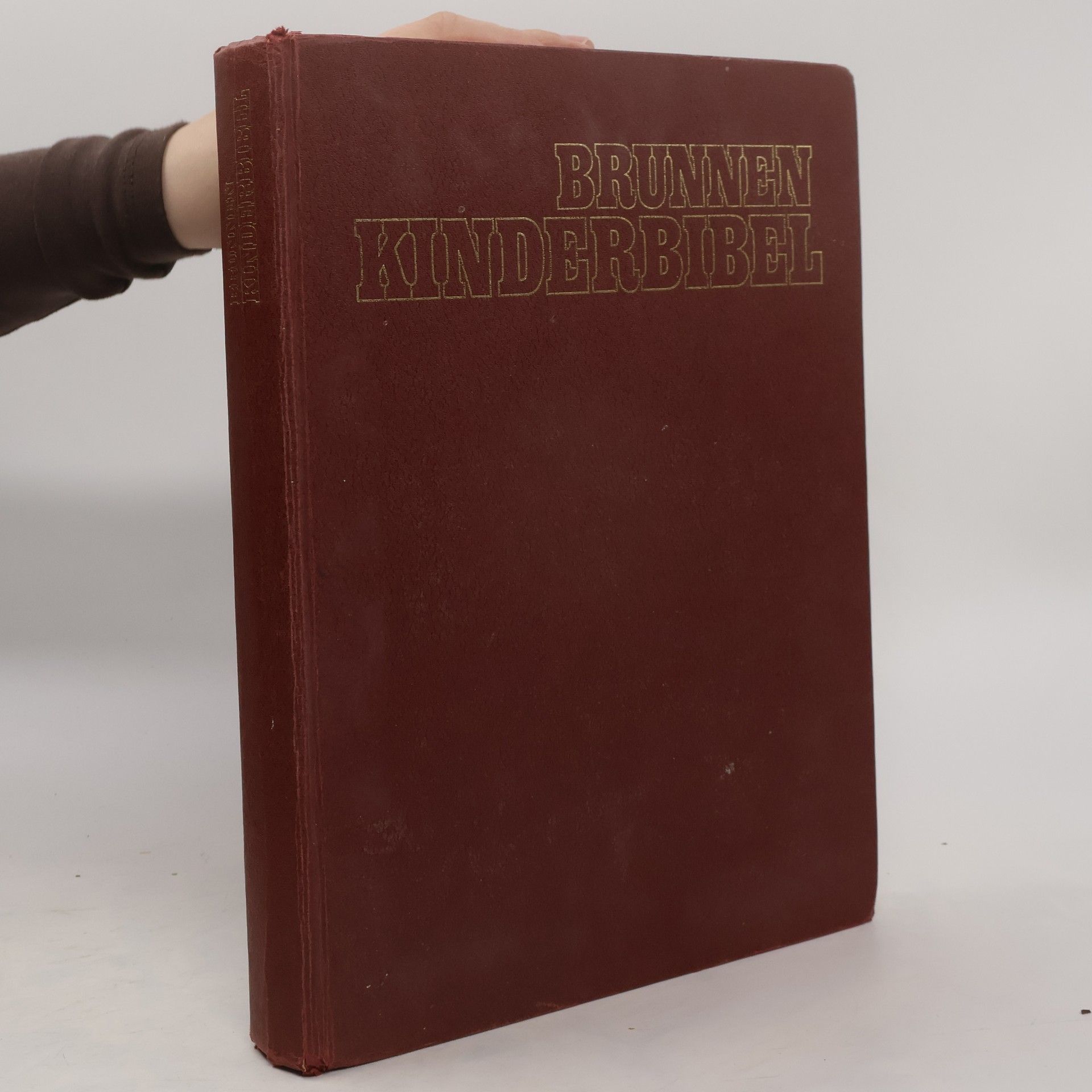 Brunnen-Kinderbibel