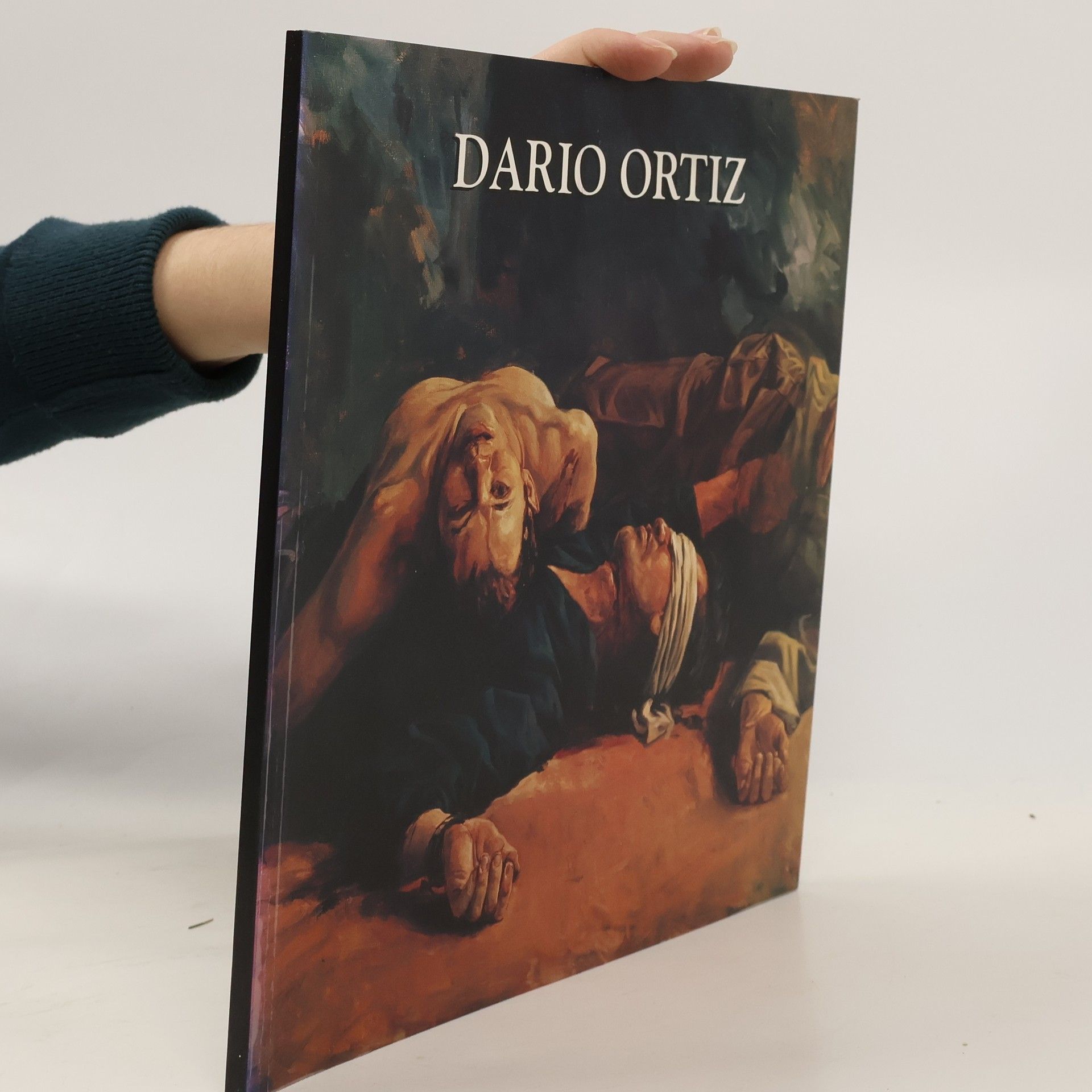 DARIO ORTIZ Chroniken des Krieges