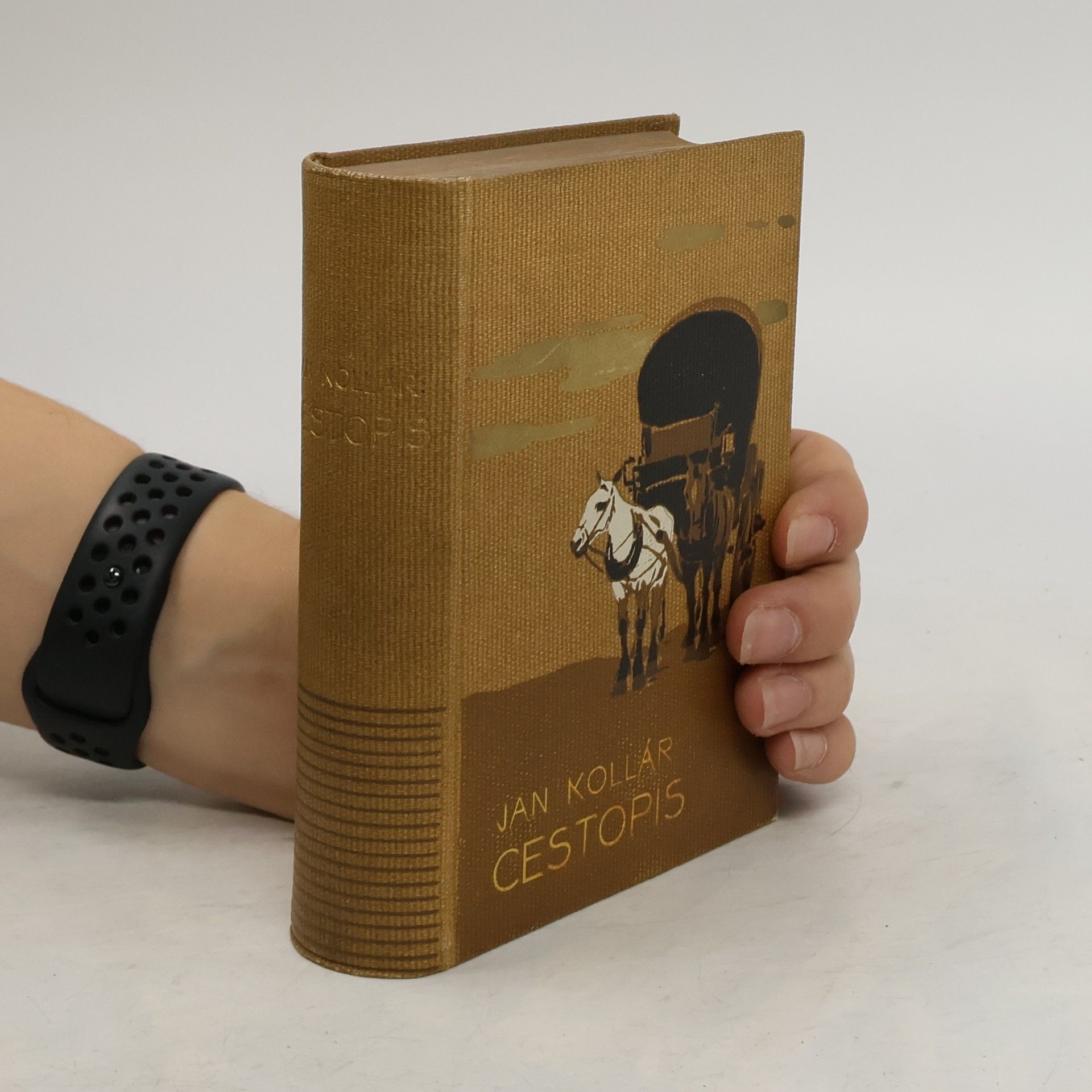 Ján Kollár Cestopis obsahující cestu do Horní Italie