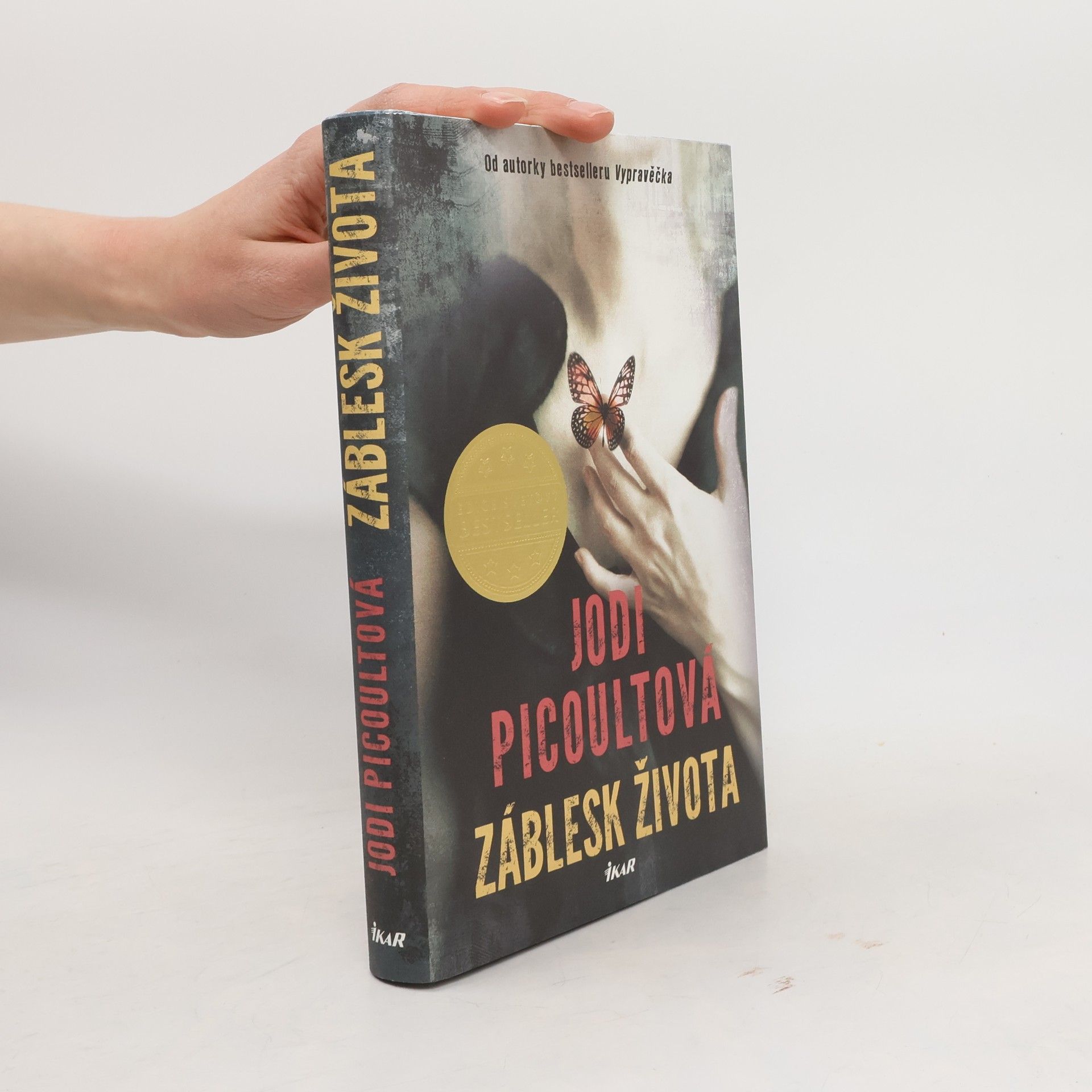 Jodi Picoult Záblesk života