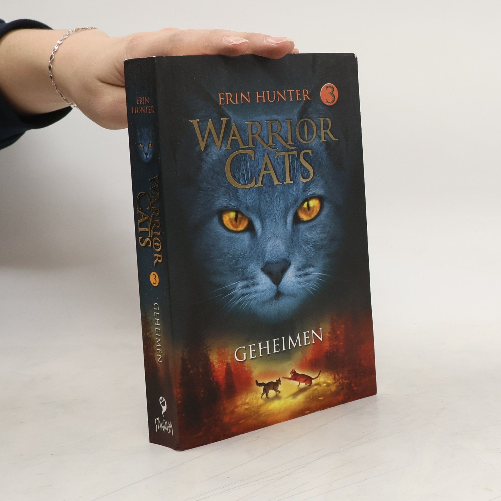 Warrior Cats - 3: Geheimen