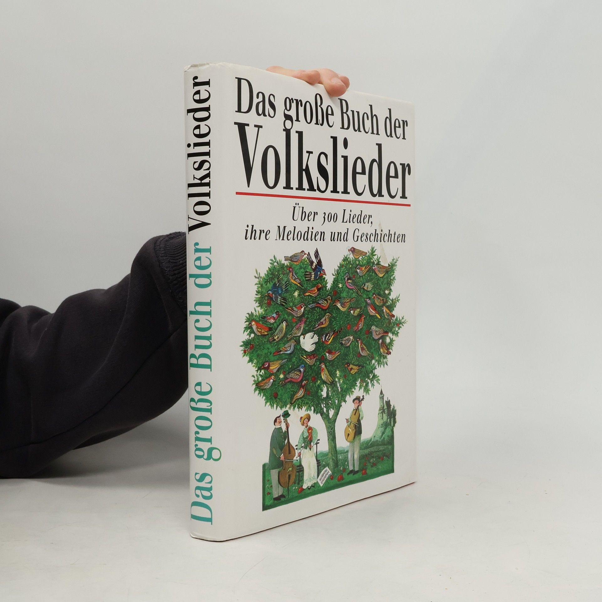 Autorenkollektiv Das große Buch der Volkslieder