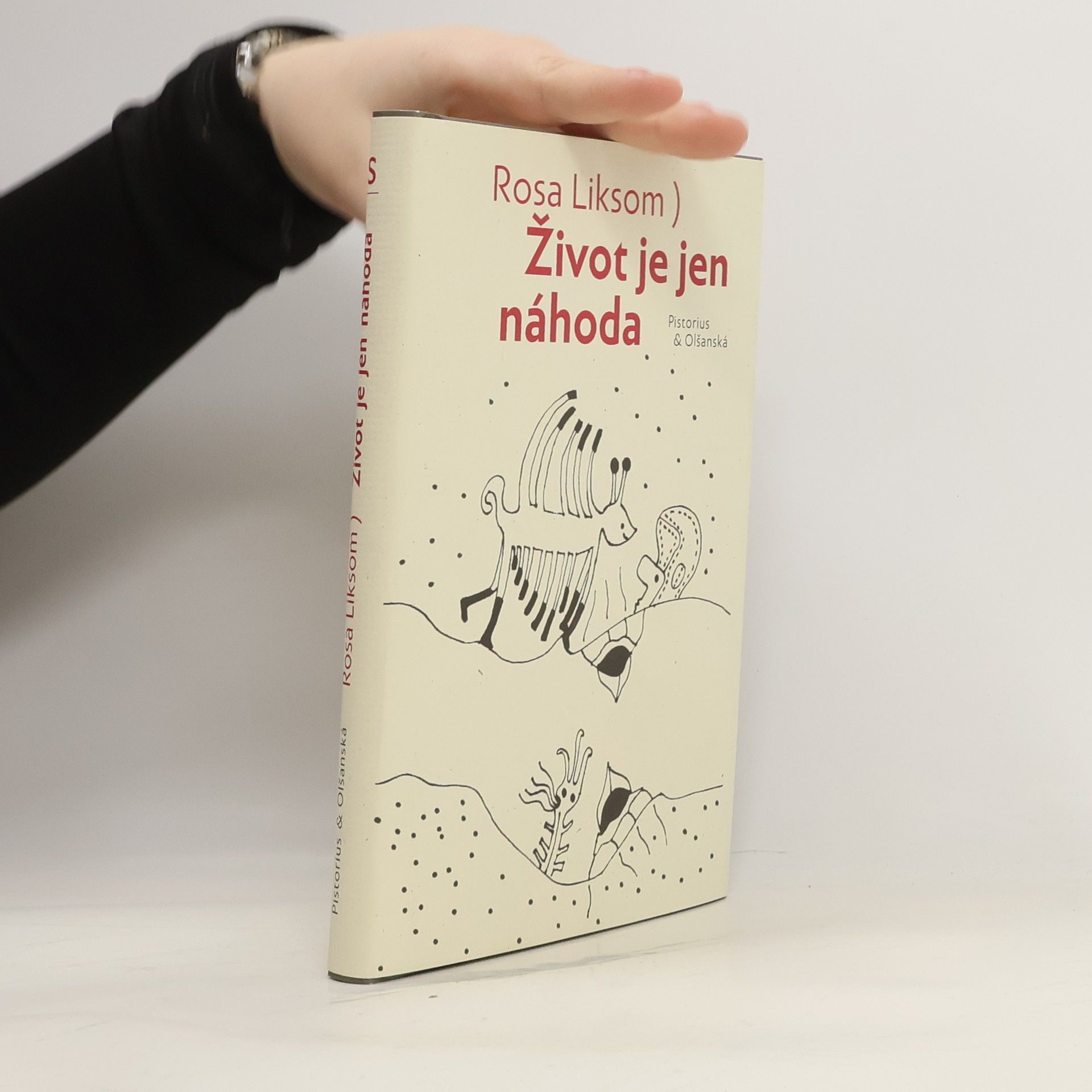 Rosa Liksom Život je jen náhoda