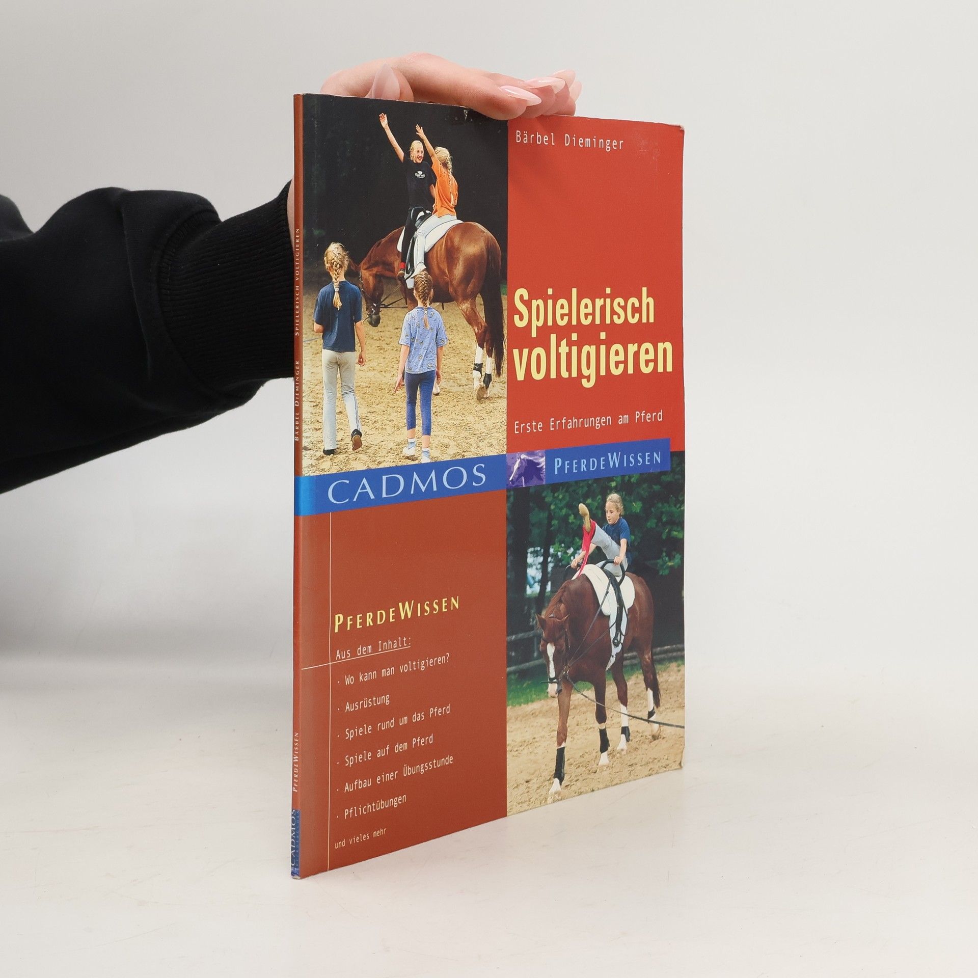 Spielerisch voltigieren