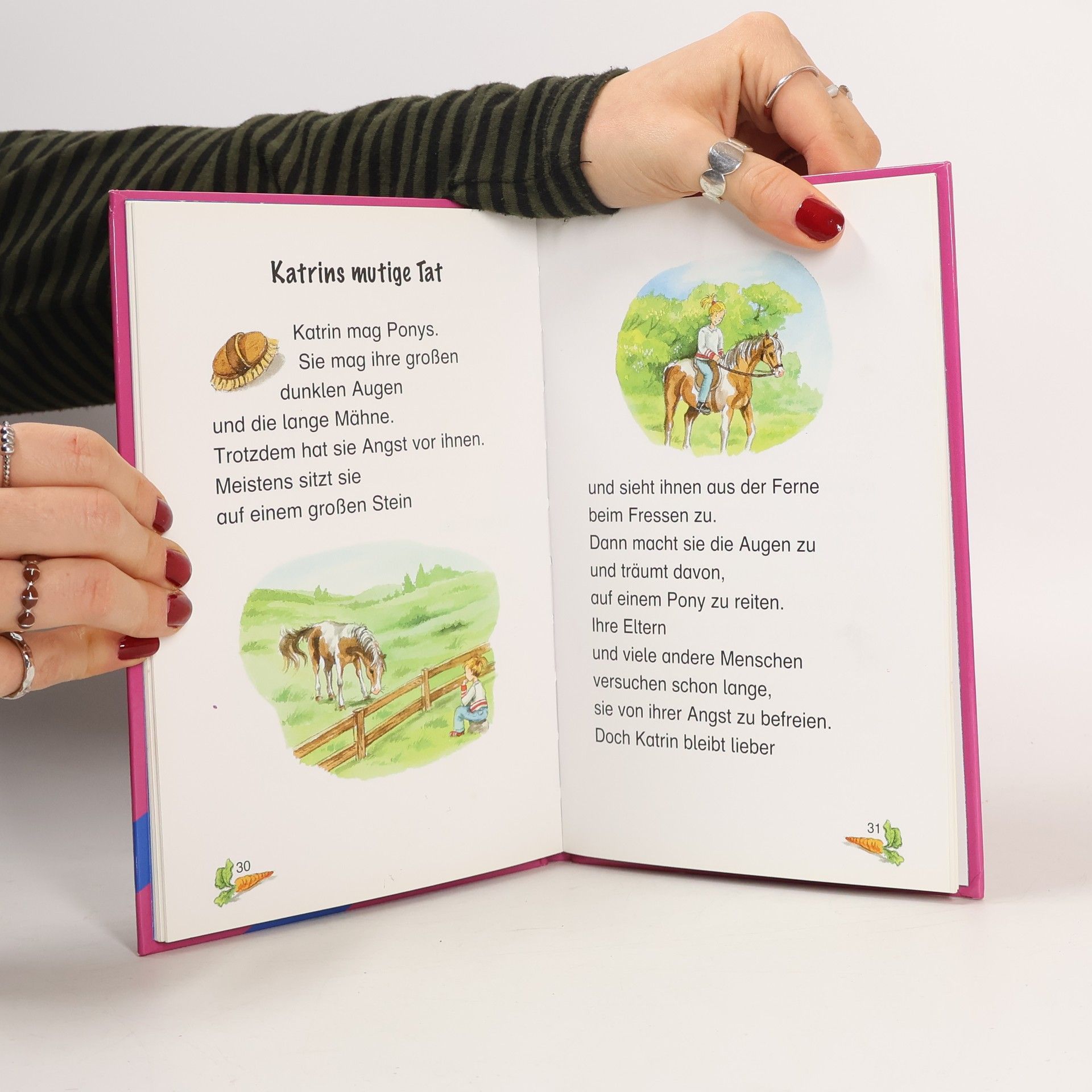 kolektiv Das Zauberpony und andere Geschichten