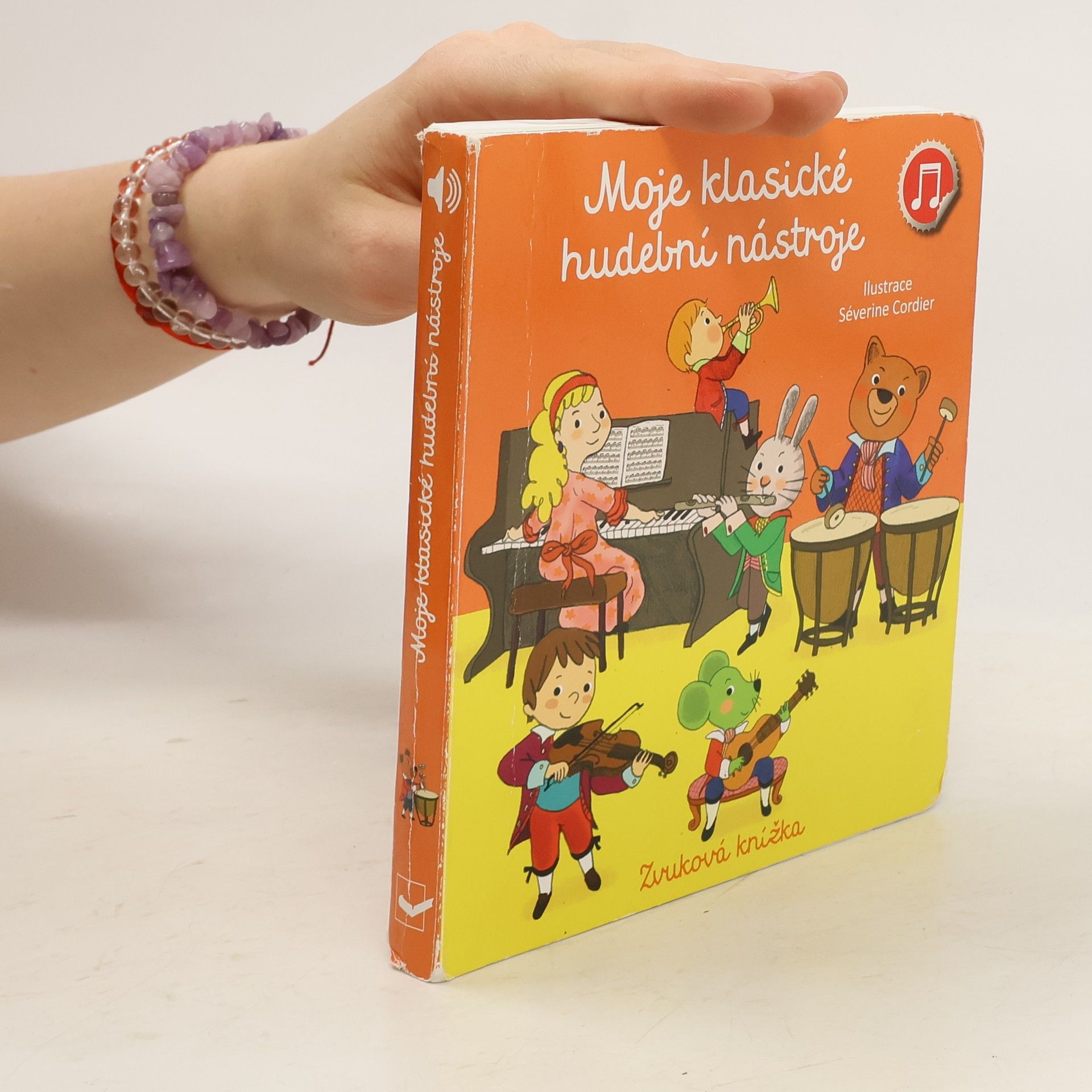 Moje klasické hudební nástroje