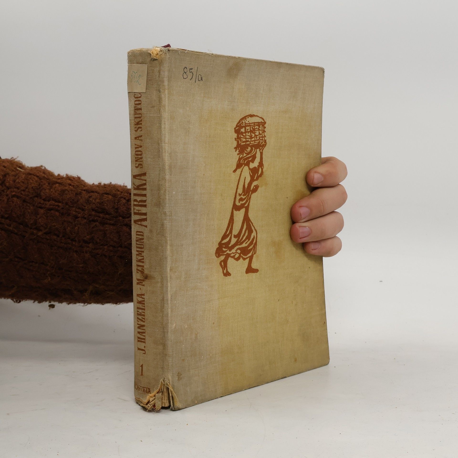 Afrika snov a skutočnosti 1