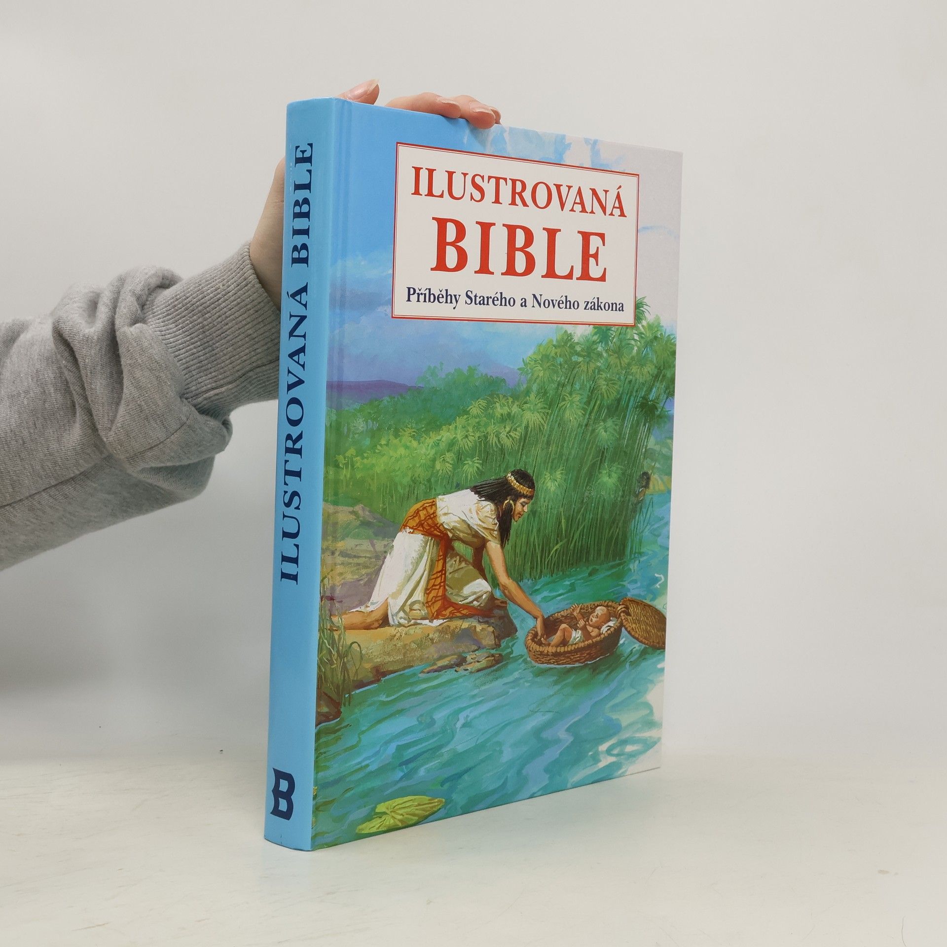 Ilustrovaná bible Příběhy Starého a Nového zákona