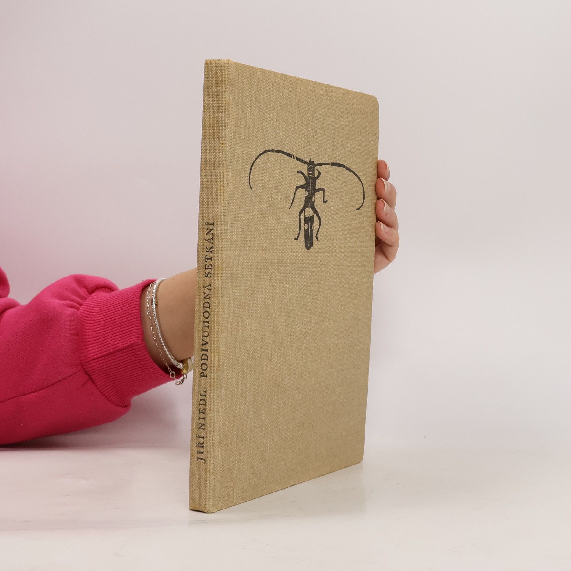 Podivuhodná setkání na lovu hmyzu, plazů a obojživelníků.